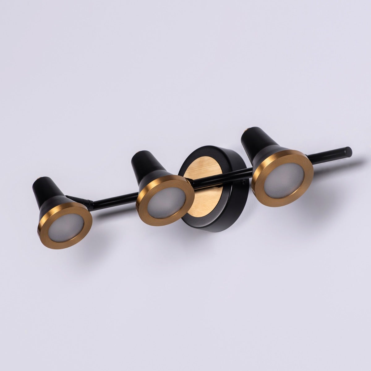 Beautiful Lives (Medium, Black, Built-In LED) Picture Light