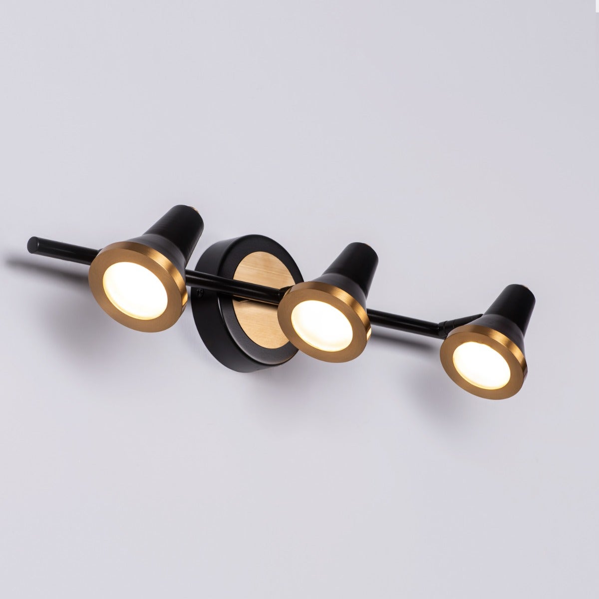 Beautiful Lives (Medium, Black, Built-In LED) Picture Light