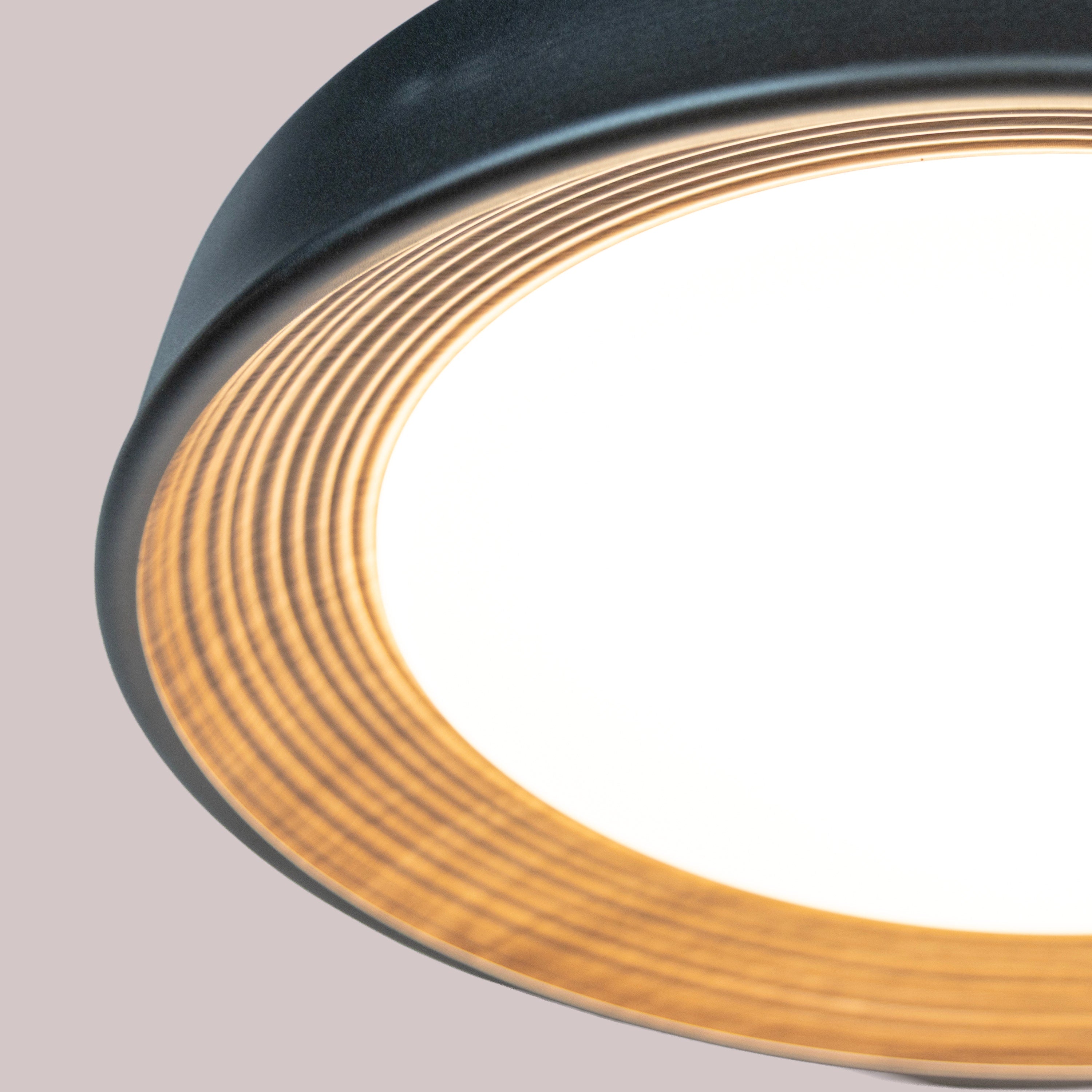 Luminex (Black, Large) Pendant Light