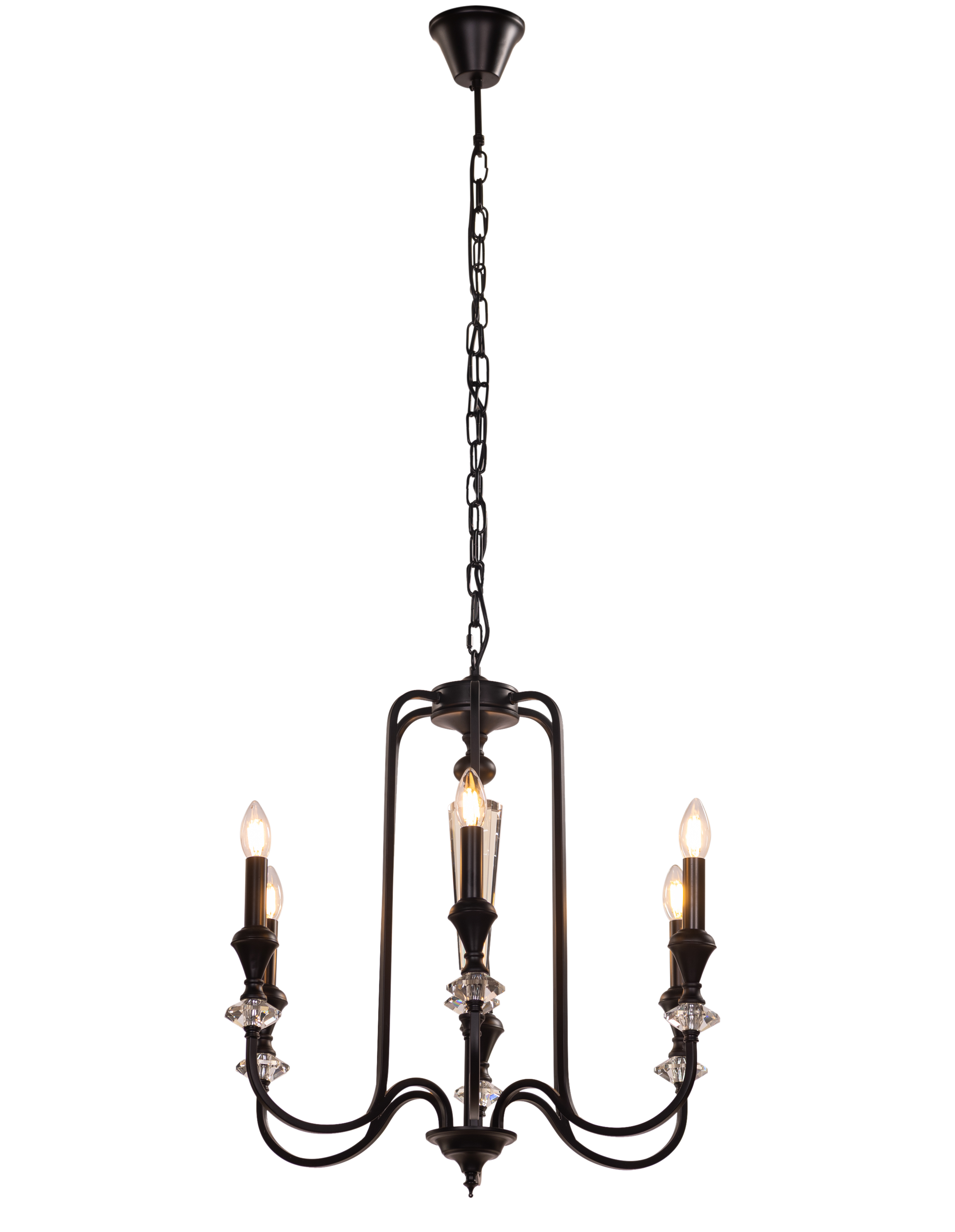Prone To Cling (Black) Crystal Chandelier