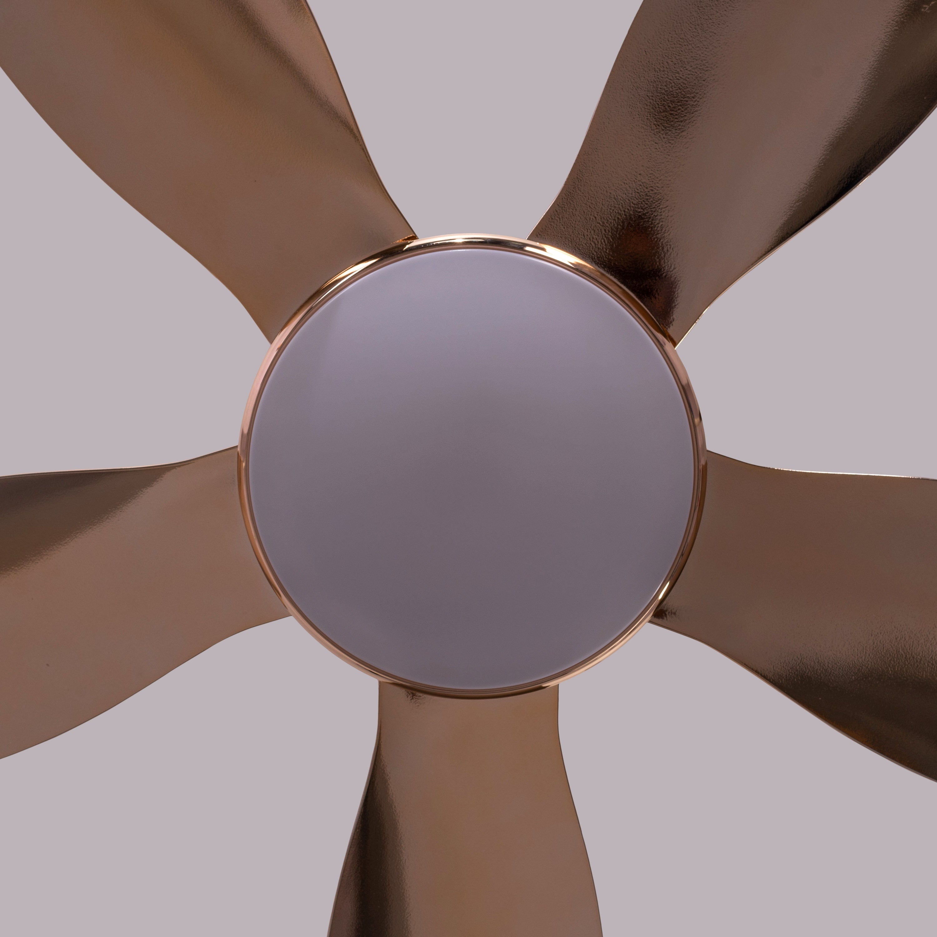 Thing For Bling (127 cm Span, Gold Plated Metal Body, Gold Plated ABS Blades) Dimmable LED With Remote Control Ceiling Fan