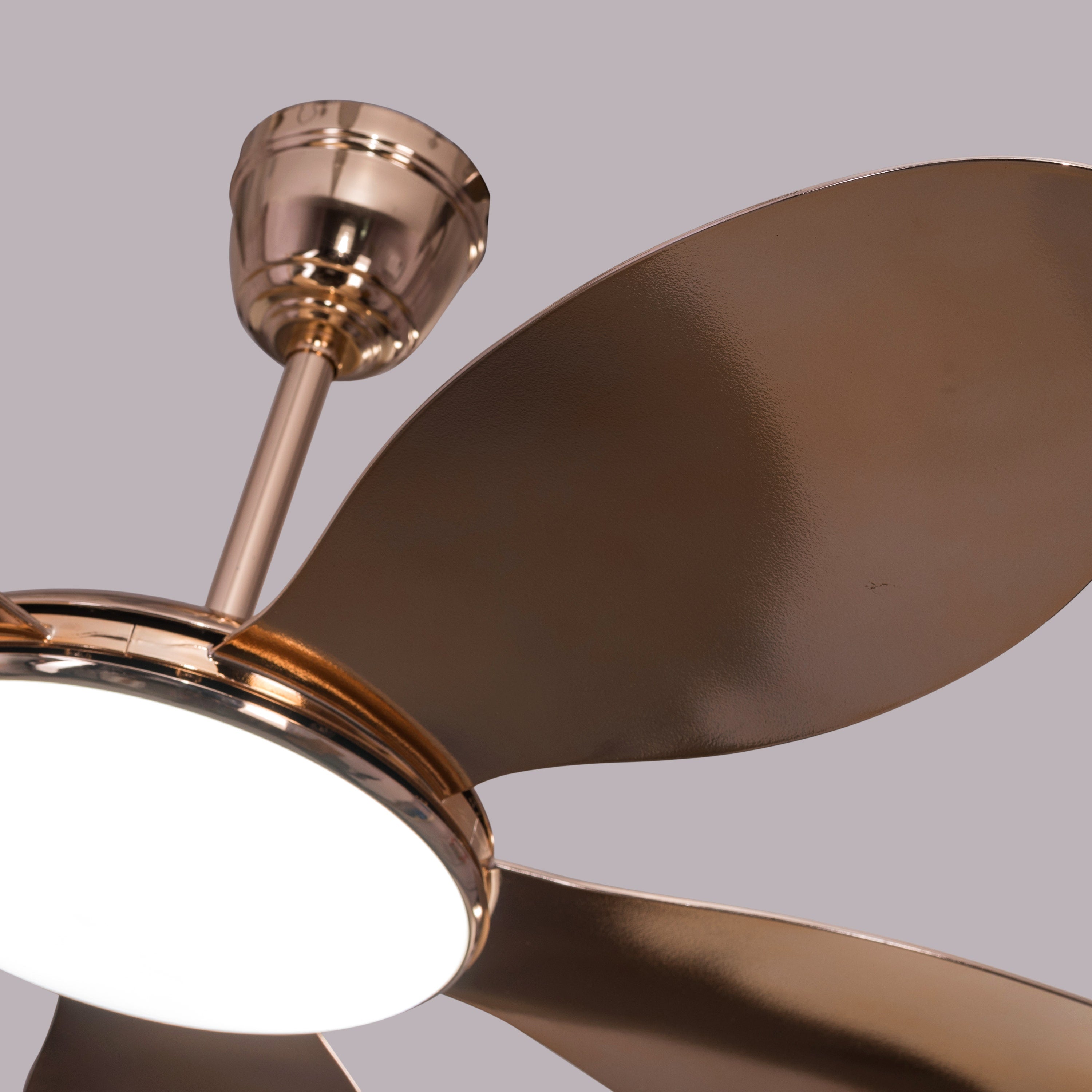 Thing For Bling (127 cm Span, Gold Plated Metal Body, Gold Plated ABS Blades) Dimmable LED With Remote Control Ceiling Fan