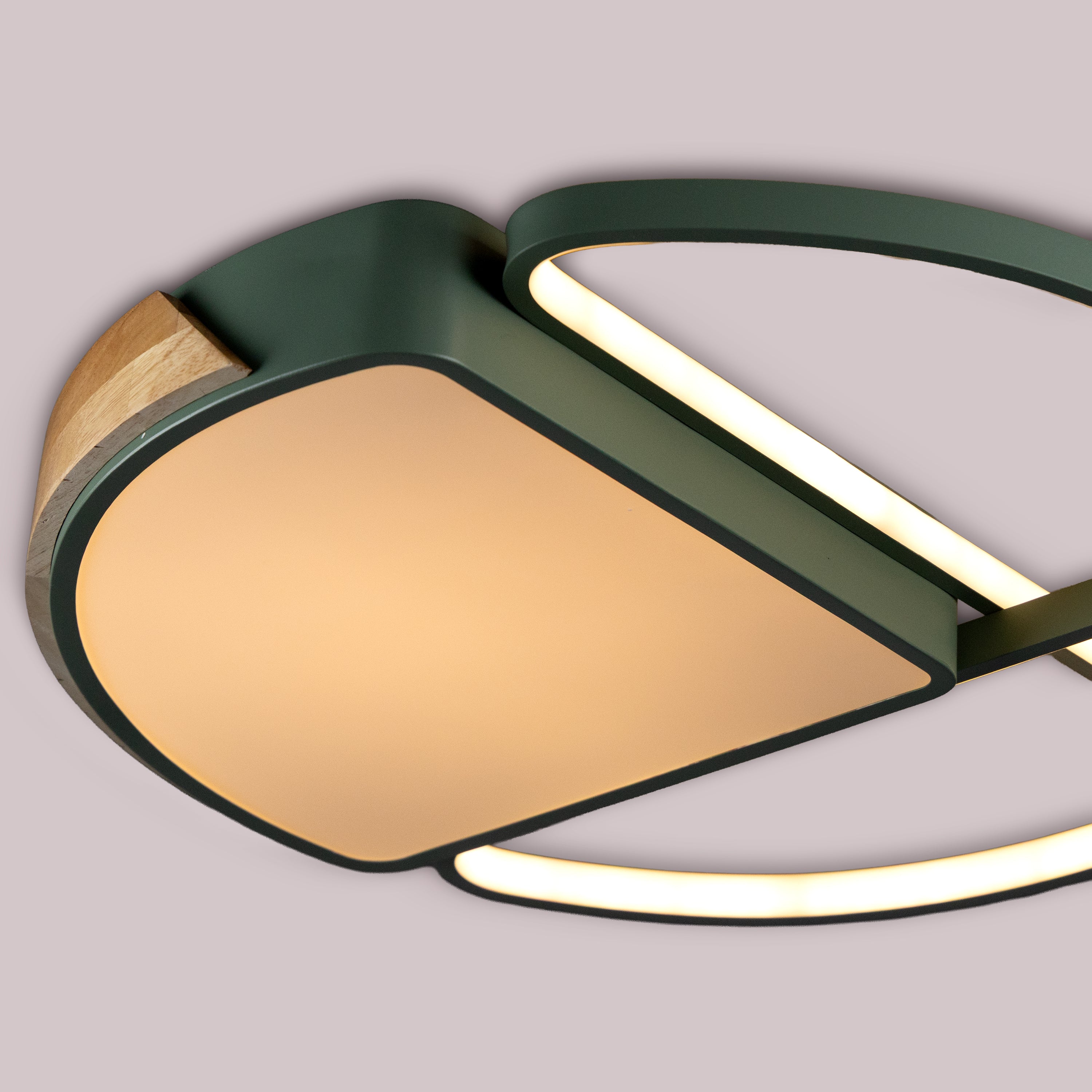 Willow Bend Dimmable Ceiling Light