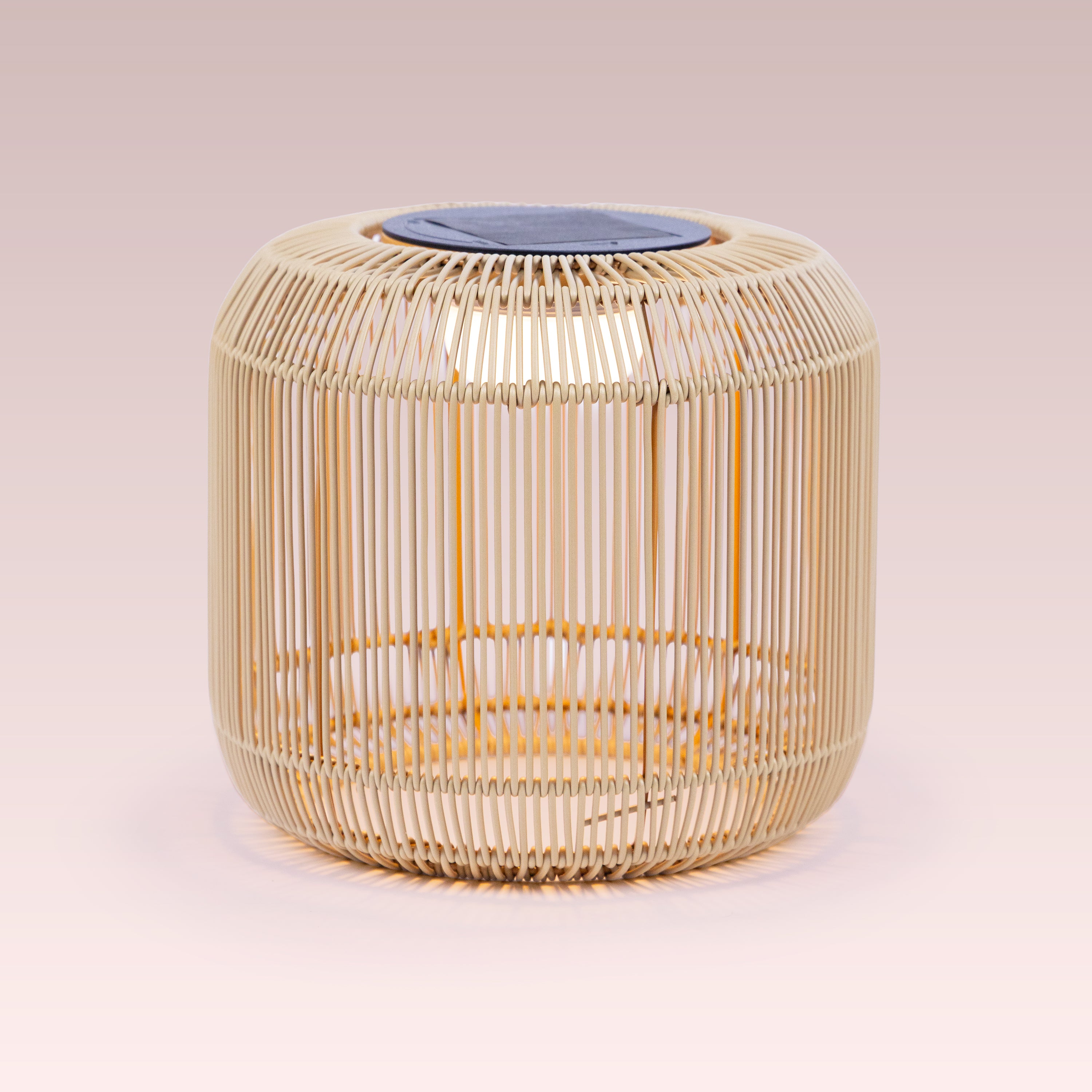 Elysian Mesh (Solar Powered-Rechargeable) Outdoor Floor Lamp