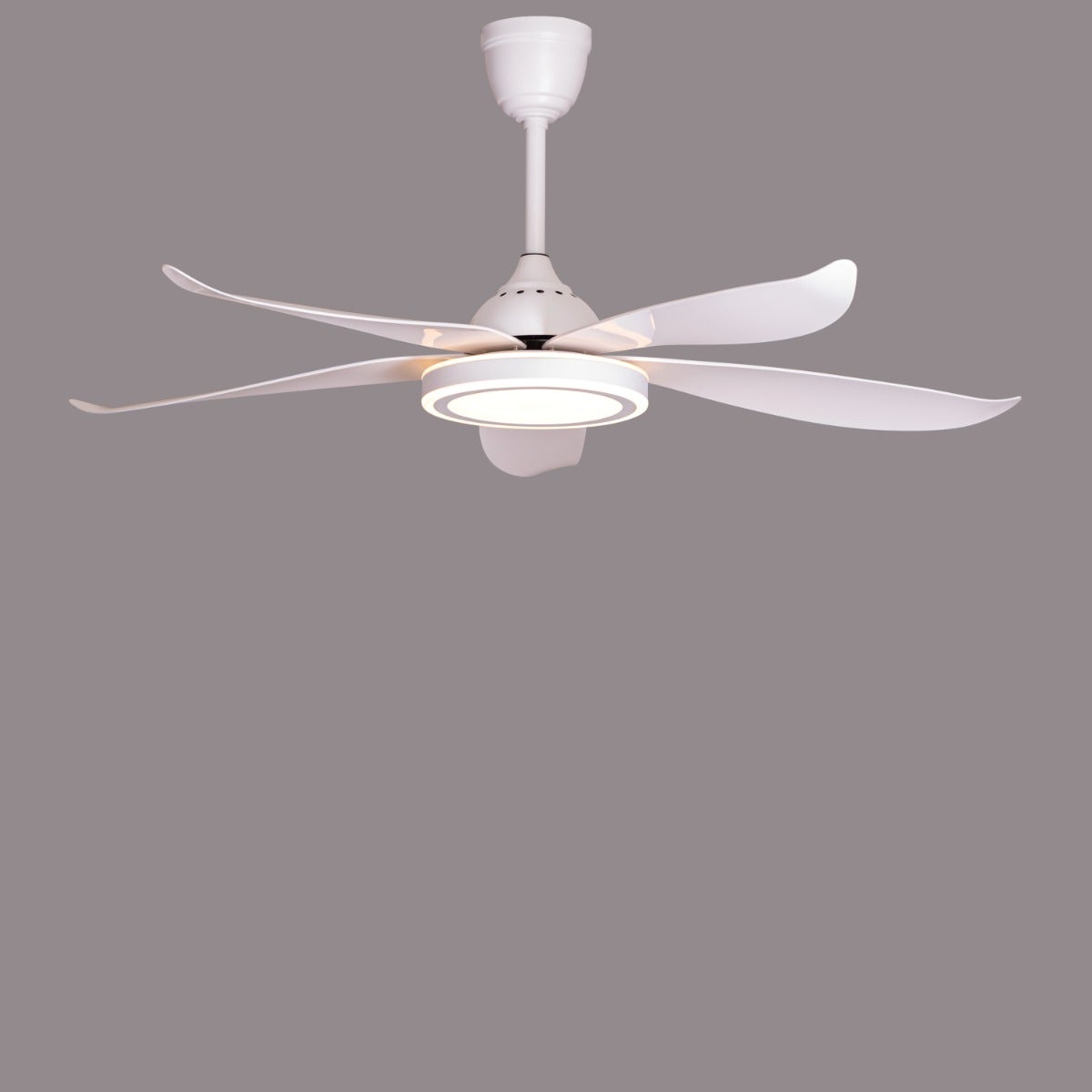 Oxford Street (140 cm Span, White Finish Metal Body, Glossy White ABS Blades) 3 Color Dimmable LED With Remote Control Ceiling Fan