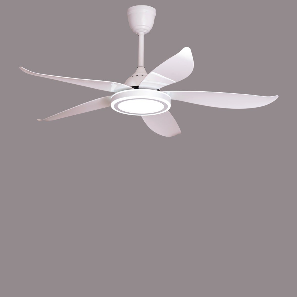 Oxford Street (140 cm Span, White Finish Metal Body, Glossy White ABS Blades) 3 Color Dimmable LED With Remote Control Ceiling Fan