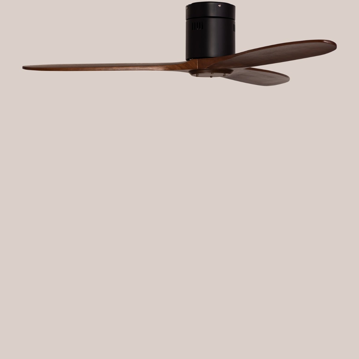 Devil's Advocate (135 cm Span, Black Finish Metal Body, Teak Wood Finish Wooden Blades) Ceiling Fan