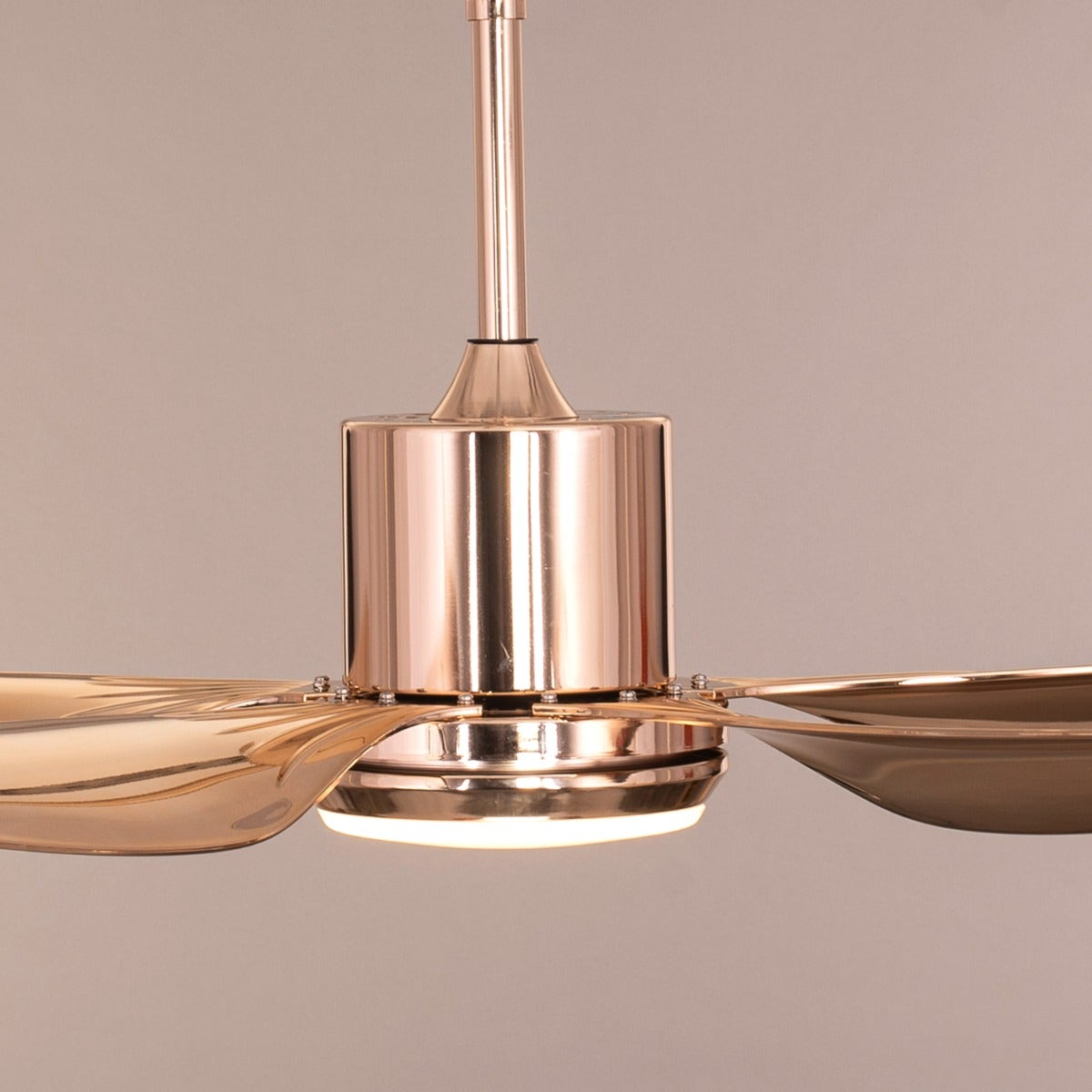 Revisited (137 cm Span, Gold Finish Metal Body, Gold Finish ABS Blades) Dimmable LED With Remote Control Ceiling Fan