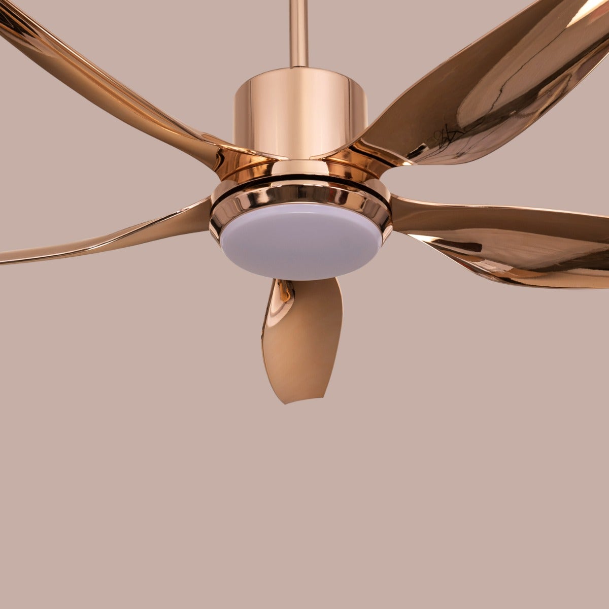 Revisited (137 cm Span, Gold Finish Metal Body, Gold Finish ABS Blades) Dimmable LED With Remote Control Ceiling Fan
