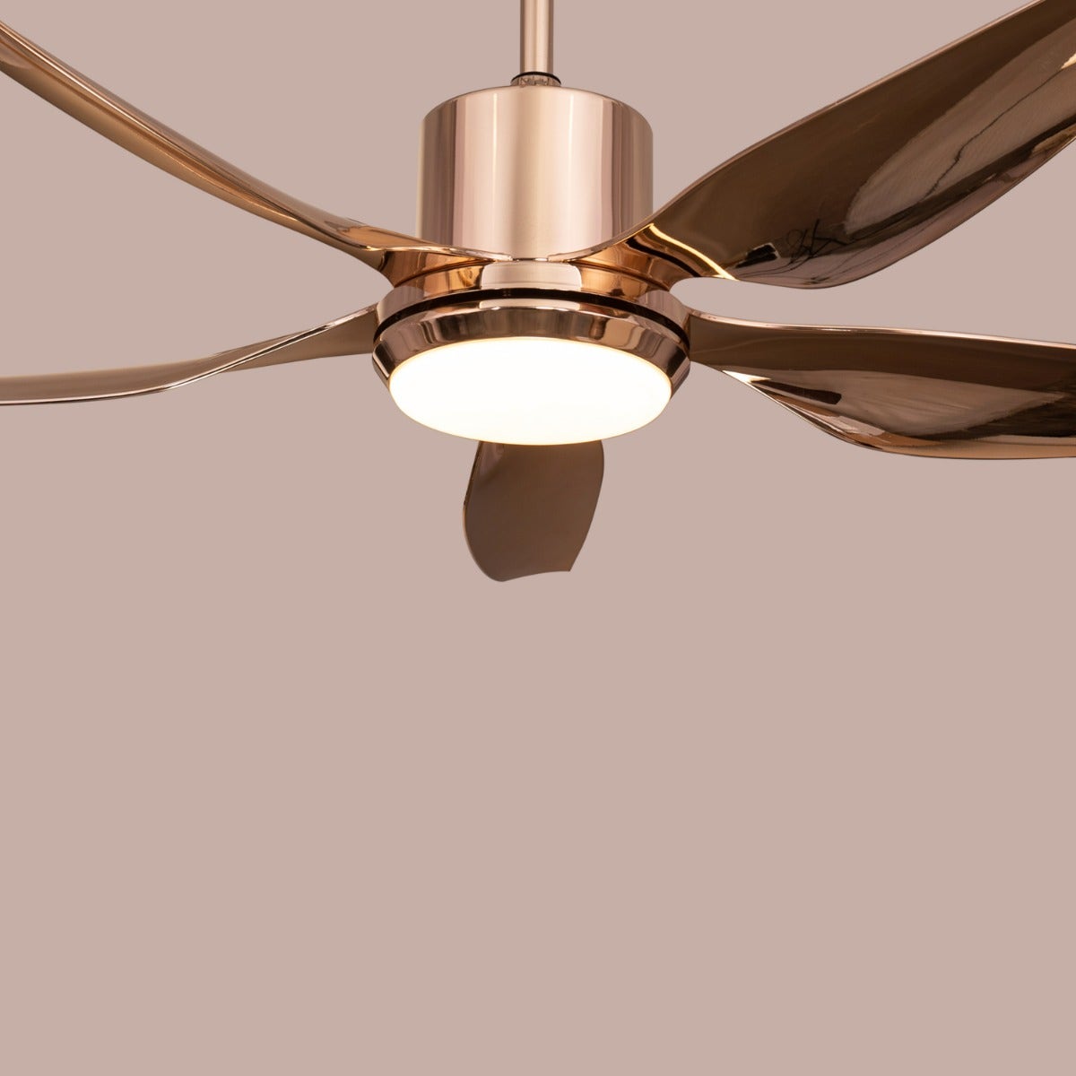 Revisited (137 cm Span, Gold Finish Metal Body, Gold Finish ABS Blades) Dimmable LED With Remote Control Ceiling Fan