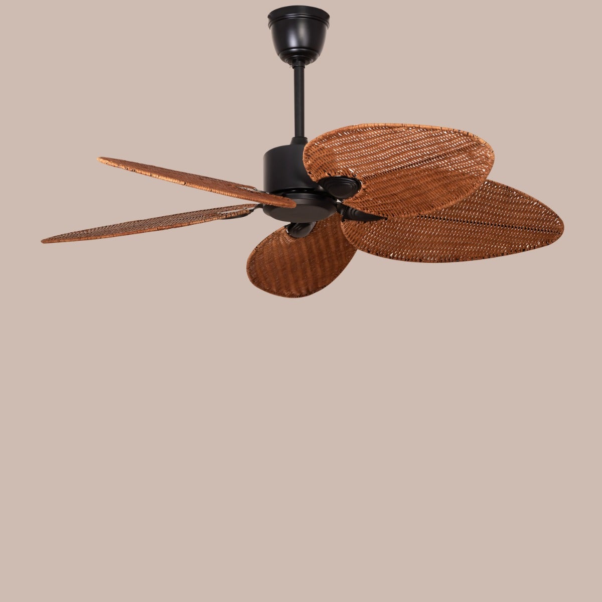 Florida Keys (132 cm Span, Black Finish Metal Body, Woven Cane On A Metal Frame) Ceiling Fan