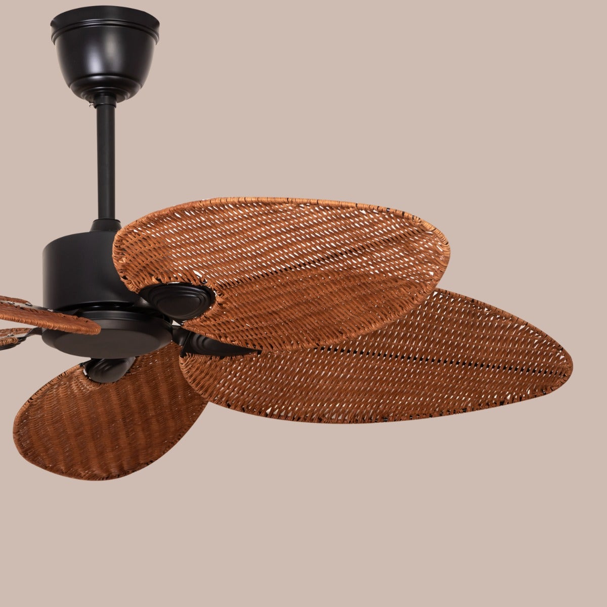 Florida Keys (132 cm Span, Black Finish Metal Body, Woven Cane On A Metal Frame) Ceiling Fan