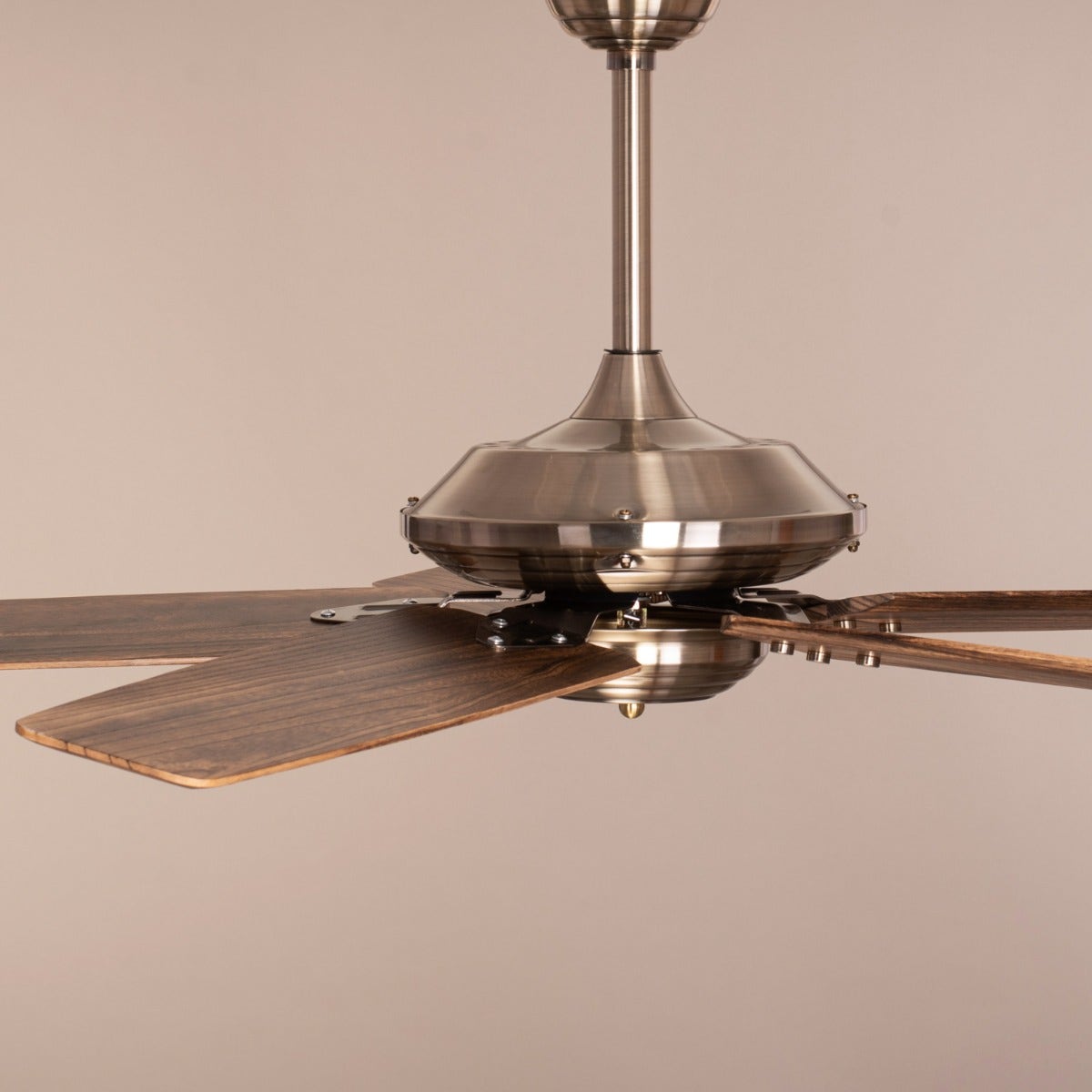 Alameda (137 cm Span, Chrome Finish Metal Body, Walnut Finish Solid Wood Blades) Ceiling Fan