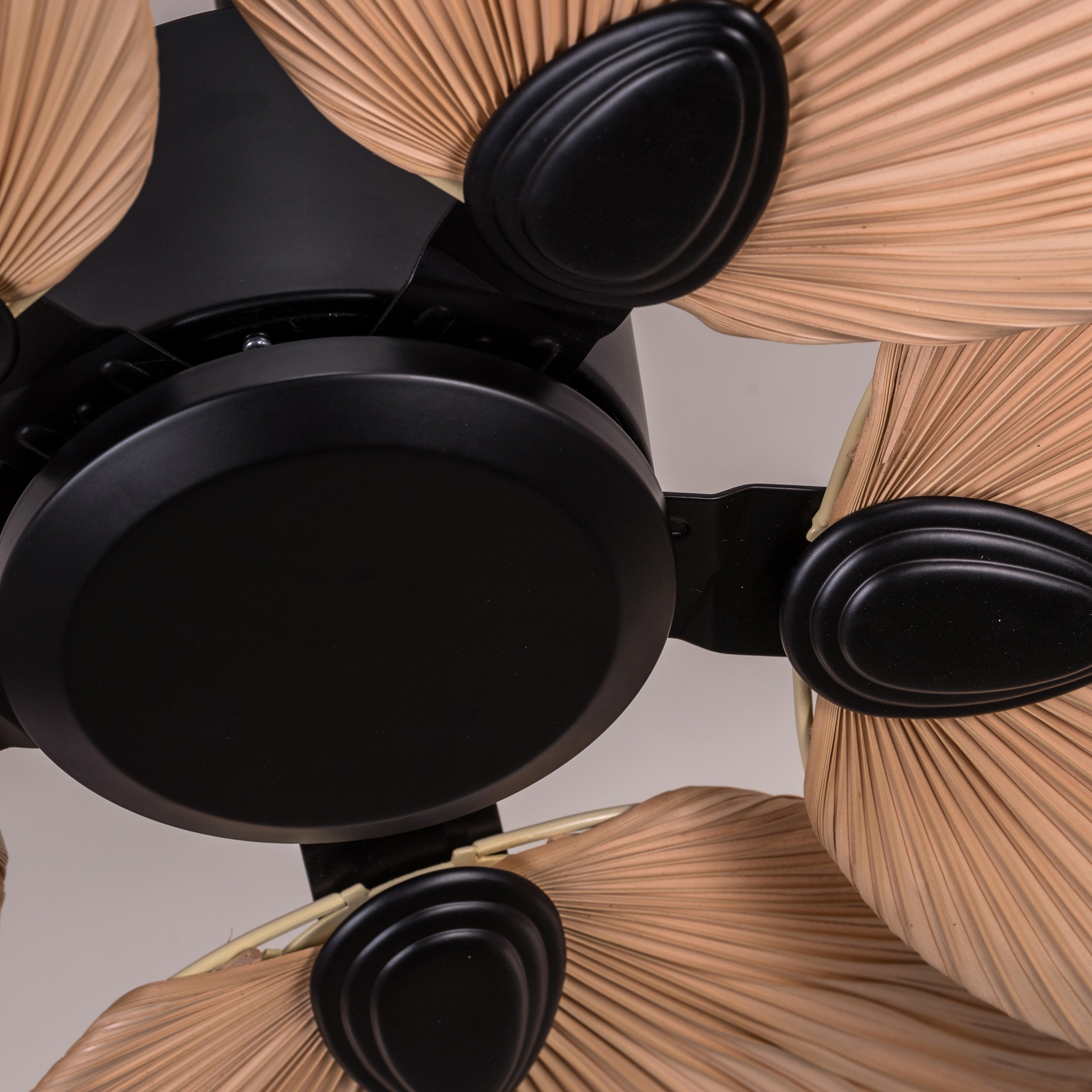 Palm Springs (122 cm Span, Black Metal Body, Rattan Wood Processed Dry Palm Tree Leaves) Ceiling Fan