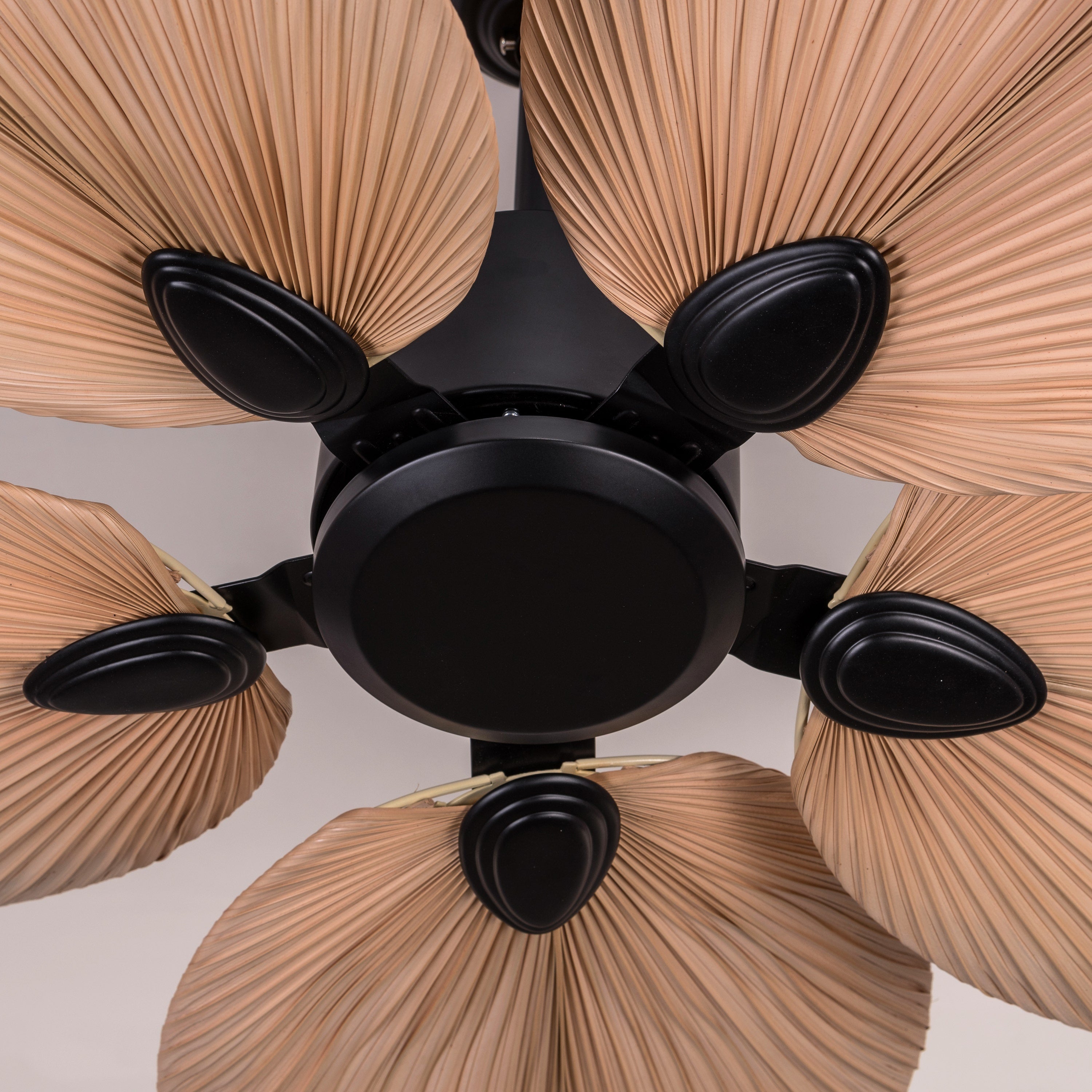 Palm Springs (122 cm Span, Black Metal Body, Rattan Wood Processed Dry Palm Tree Leaves) Ceiling Fan
