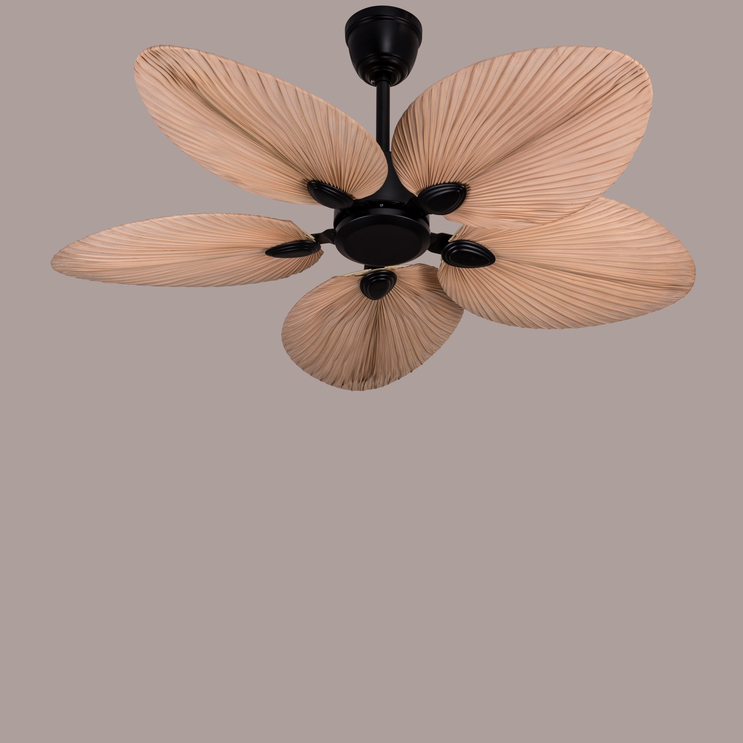 Palm Springs (122 cm Span, Black Metal Body, Rattan Wood Processed Dry Palm Tree Leaves) Ceiling Fan