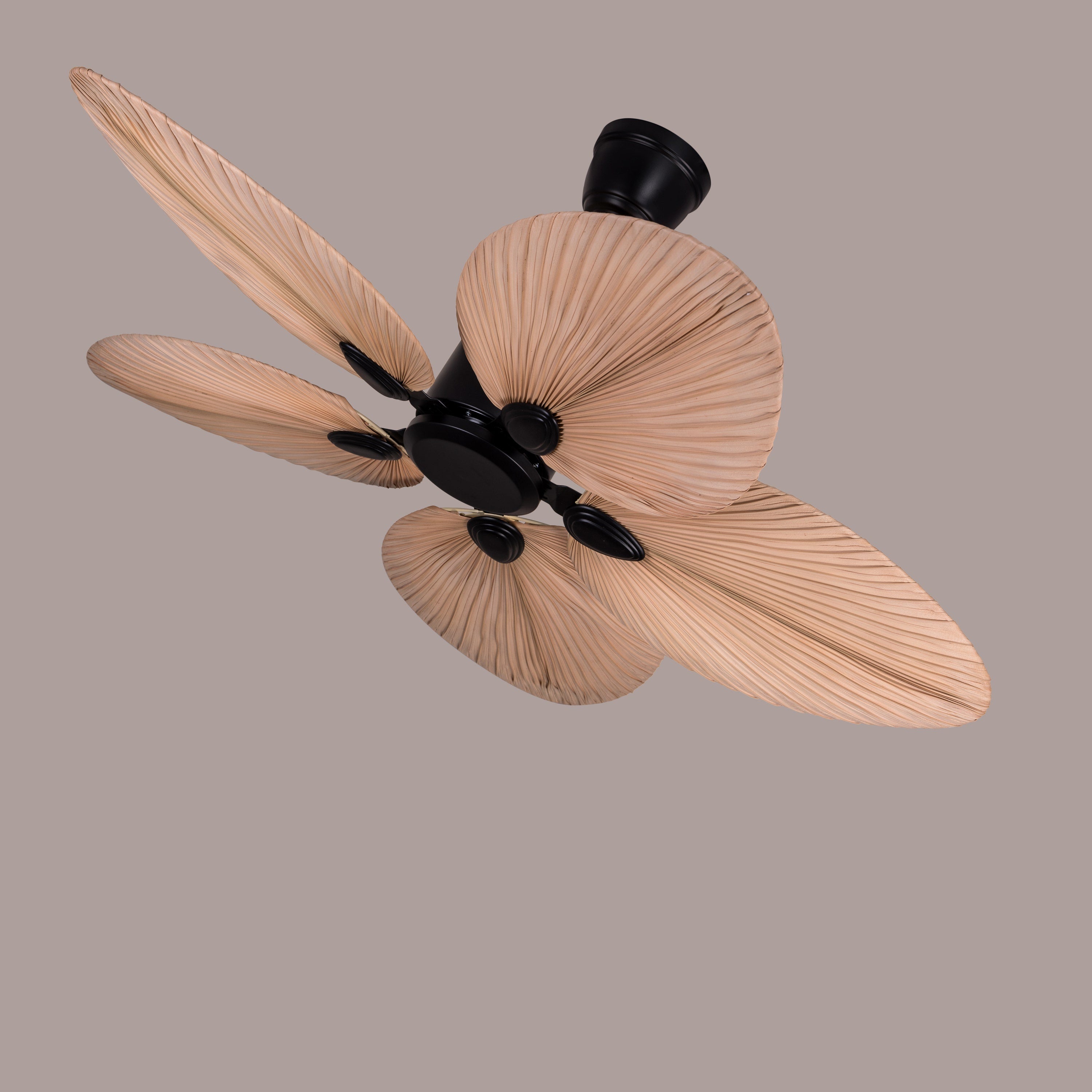 Palm Springs (122 cm Span, Black Metal Body, Rattan Wood Processed Dry Palm Tree Leaves) Ceiling Fan