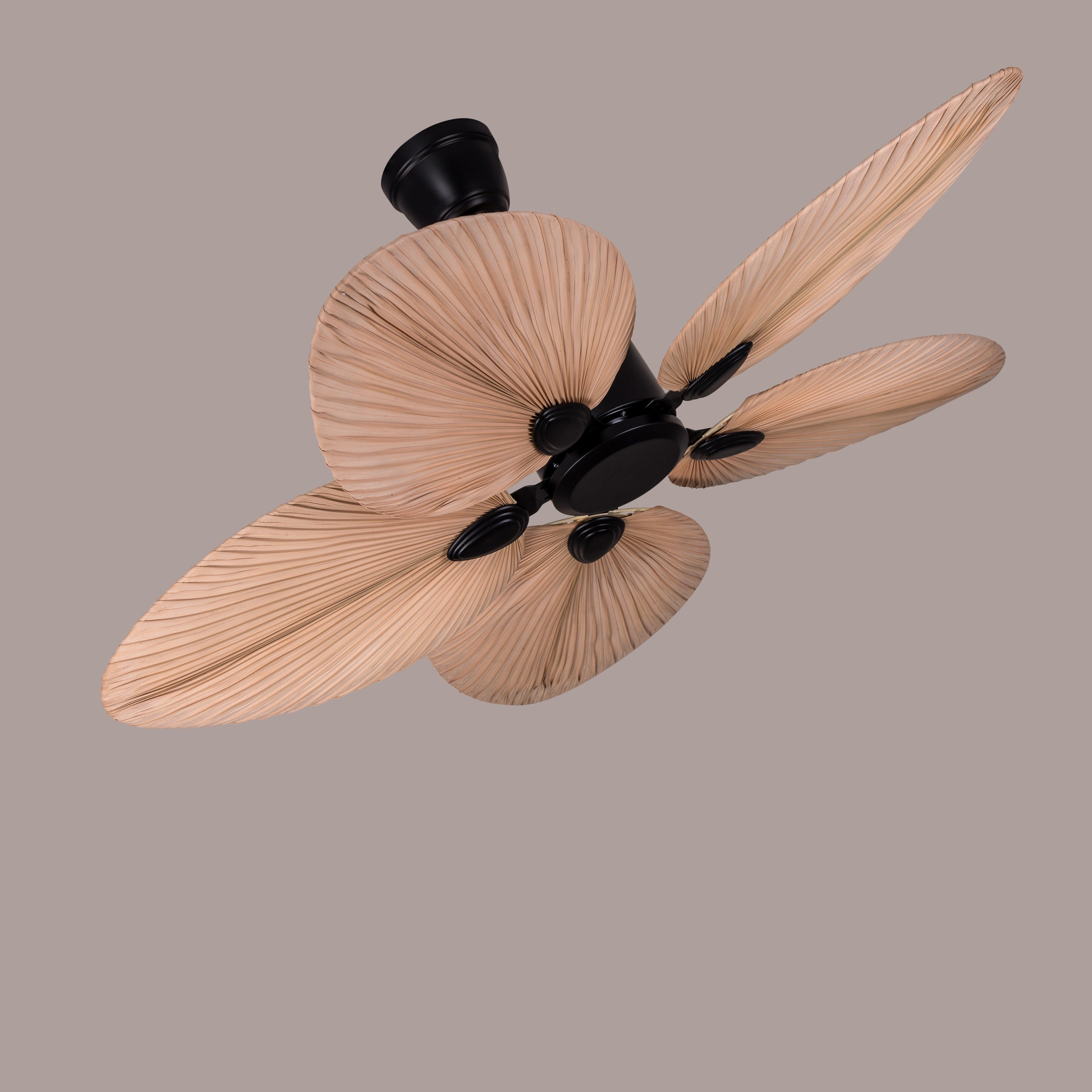 Palm Springs (122 cm Span, Black Metal Body, Rattan Wood Processed Dry Palm Tree Leaves) Ceiling Fan