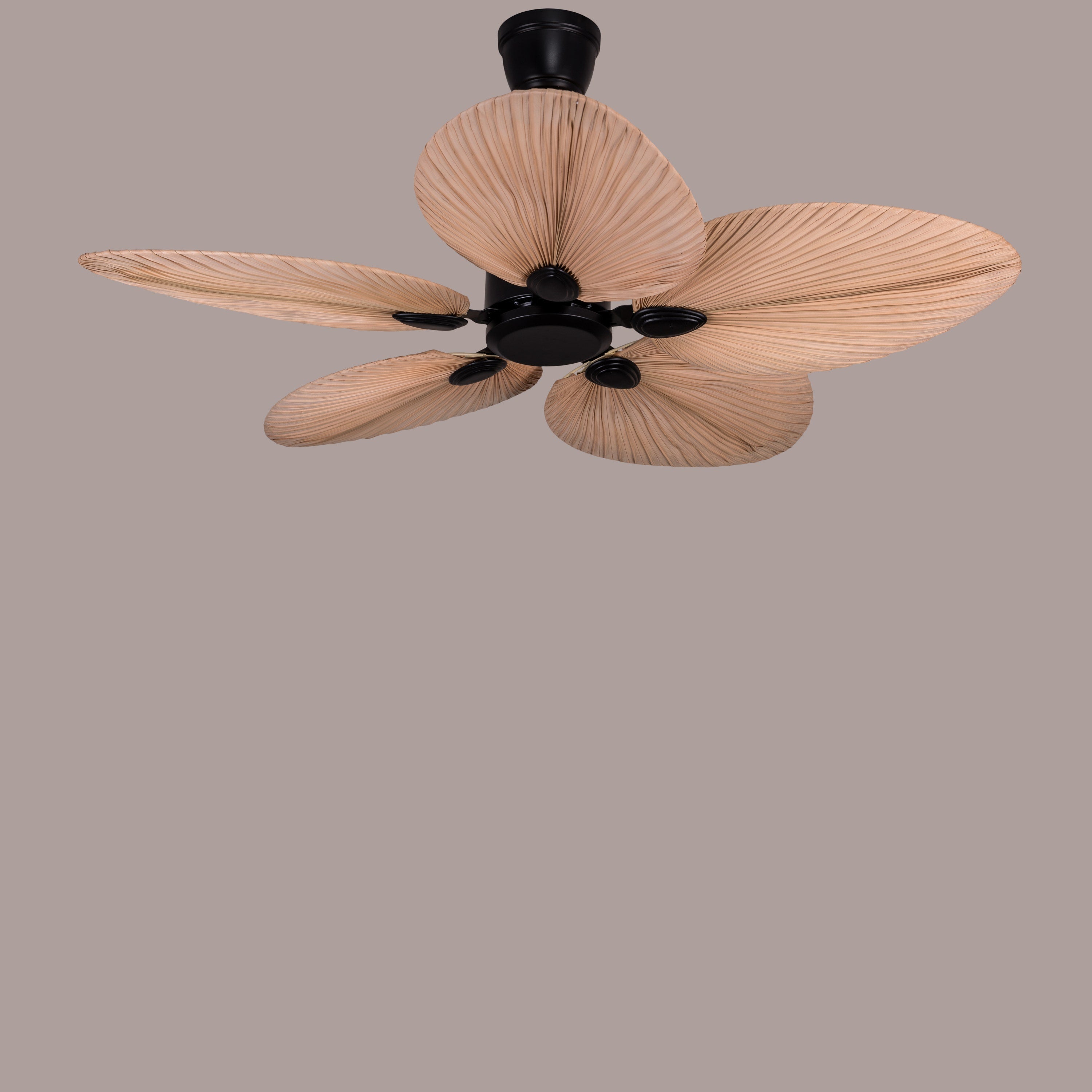 Palm Springs (122 cm Span, Black Metal Body, Rattan Wood Processed Dry Palm Tree Leaves) Ceiling Fan