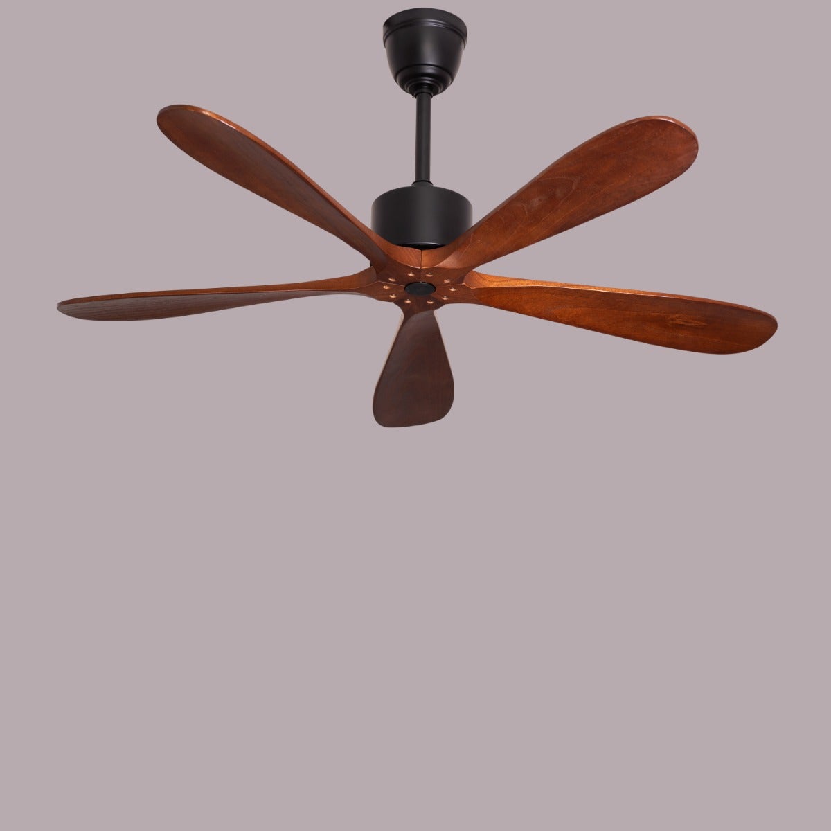 Bellagio (132 cm Span, Black Finish Metal Body, Teak Wood Finish Solid Wooden Blades) Ceiling Fan