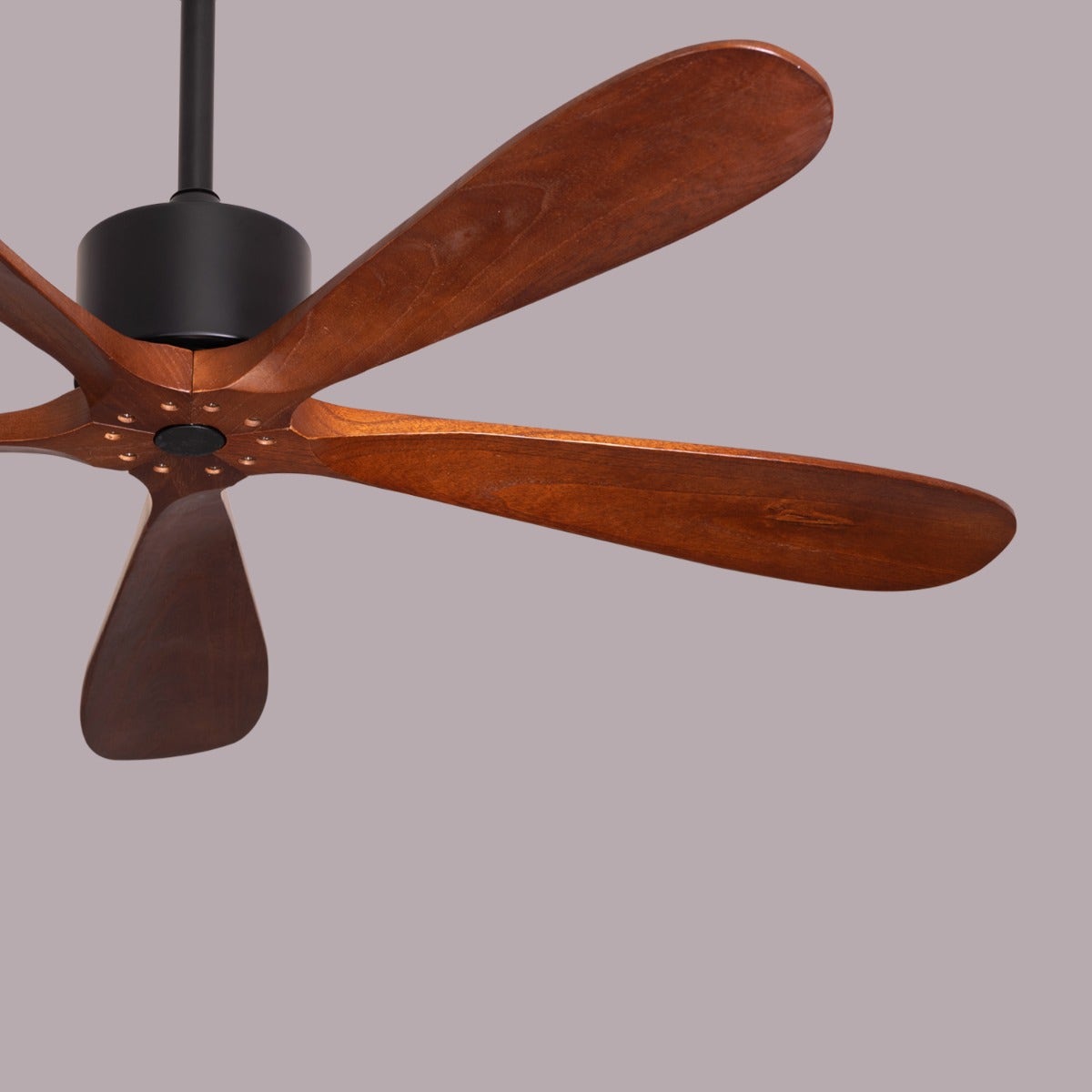 Bellagio (132 cm Span, Black Finish Metal Body, Teak Wood Finish Solid Wooden Blades) Ceiling Fan