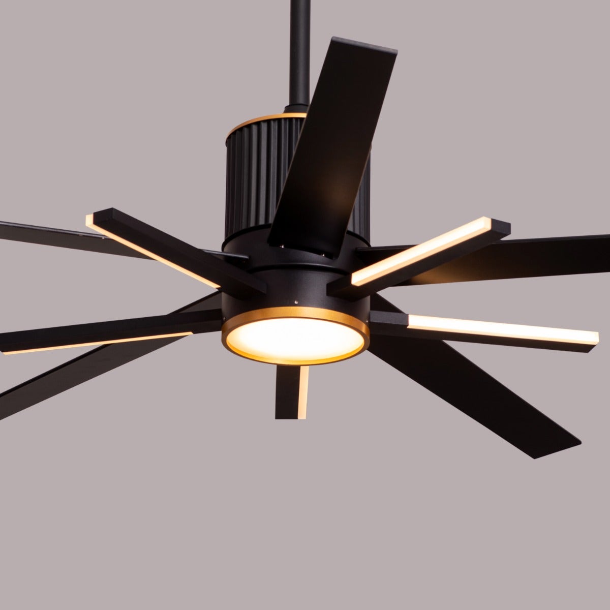 Serengeti (142 cm Span, Black & Gold Finish Metal Body, Black Finish Solid Wood Blades) Dimmable LED With Remote Control Ceiling Fan