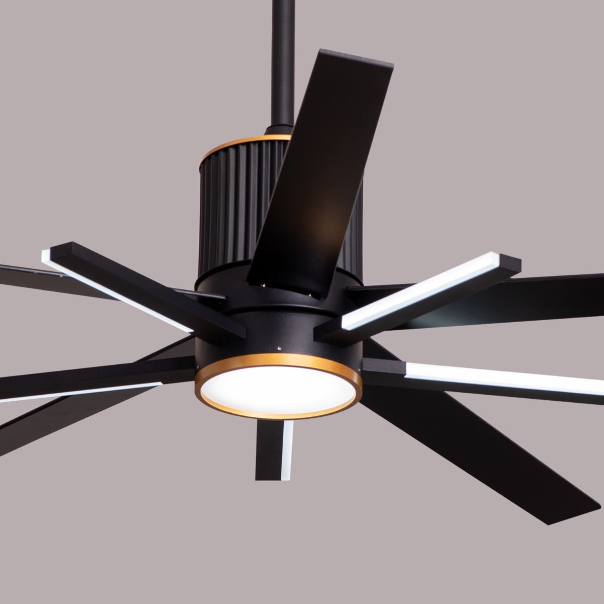 Serengeti (142 cm Span, Black & Gold Finish Metal Body, Black Finish Solid Wood Blades) Dimmable LED With Remote Control Ceiling Fan