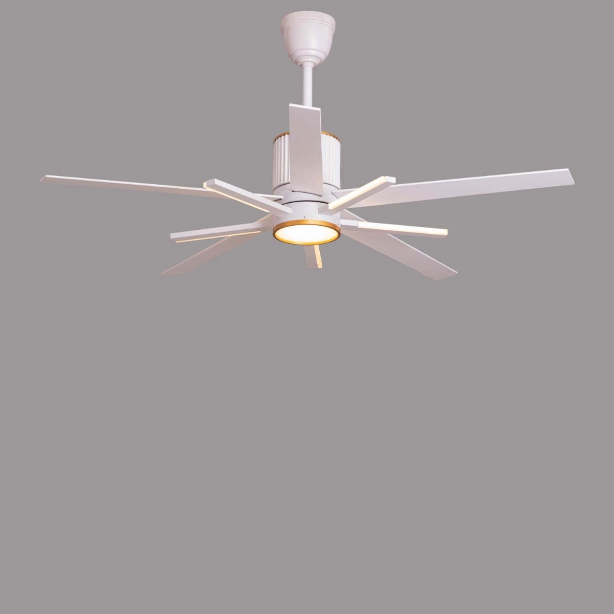 Serengeti (142 cm Span, White & Gold Finish Metal Body, White Finish Solid Wood Blades) Dimmable LED With Remote Control Ceiling Fan
