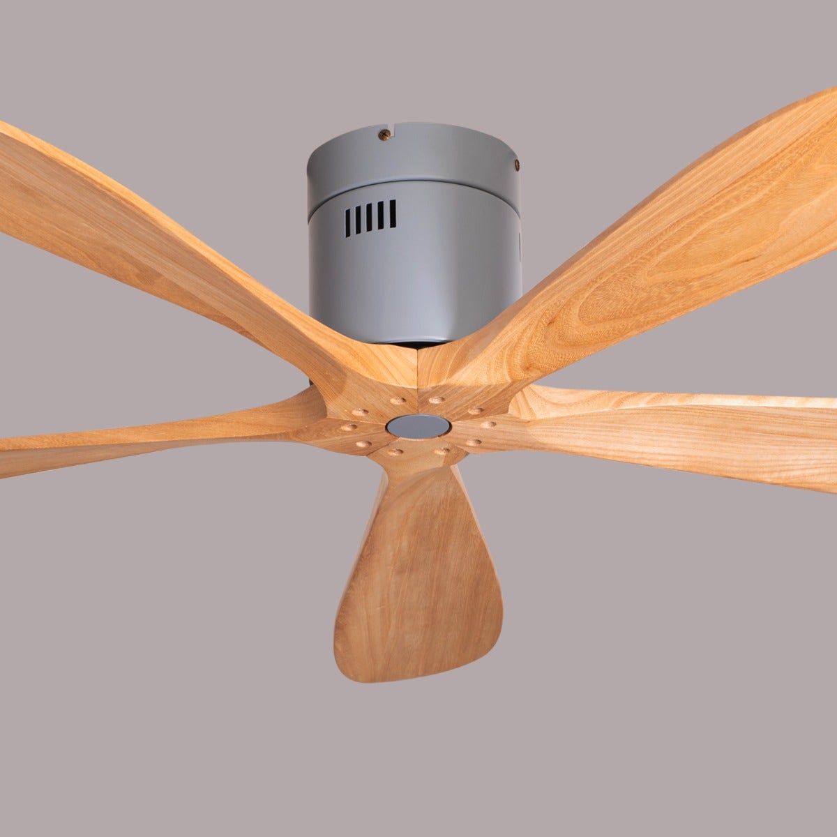 Carmel (132 cm Span, Grey Finish Metal Body, Maple Wood Finish Wooden Blades) Ceiling Fan
