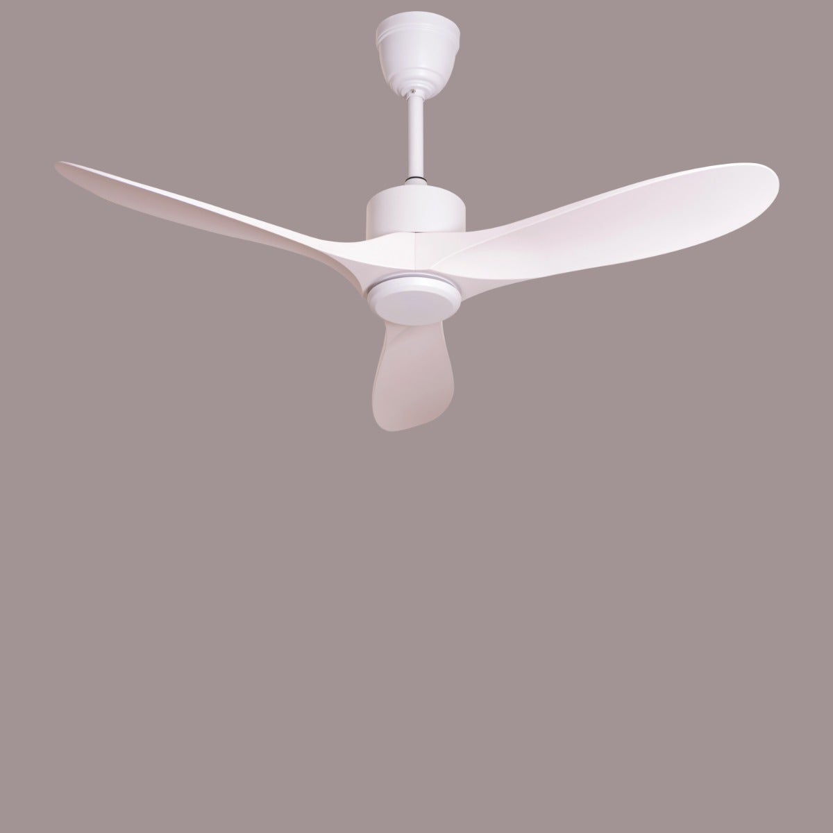 Tiburon (132 cm Span, White Finish Metal Body, White Finish ABS Blades) Ceiling Fan