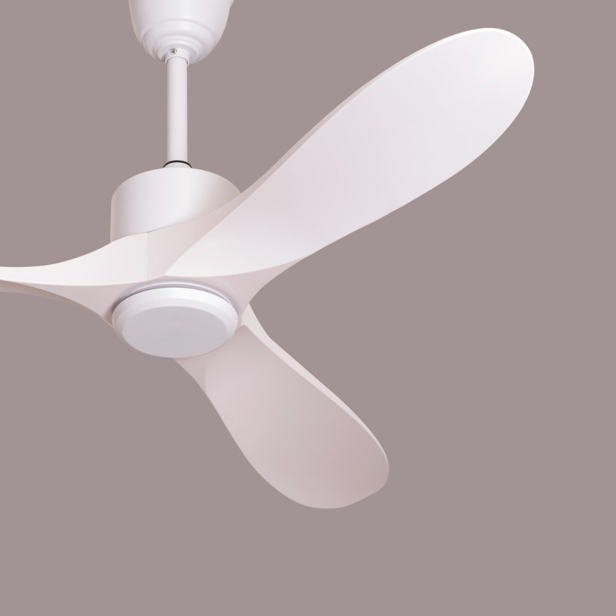 Tiburon (132 cm Span, White Finish Metal Body, White Finish ABS Blades) Ceiling Fan