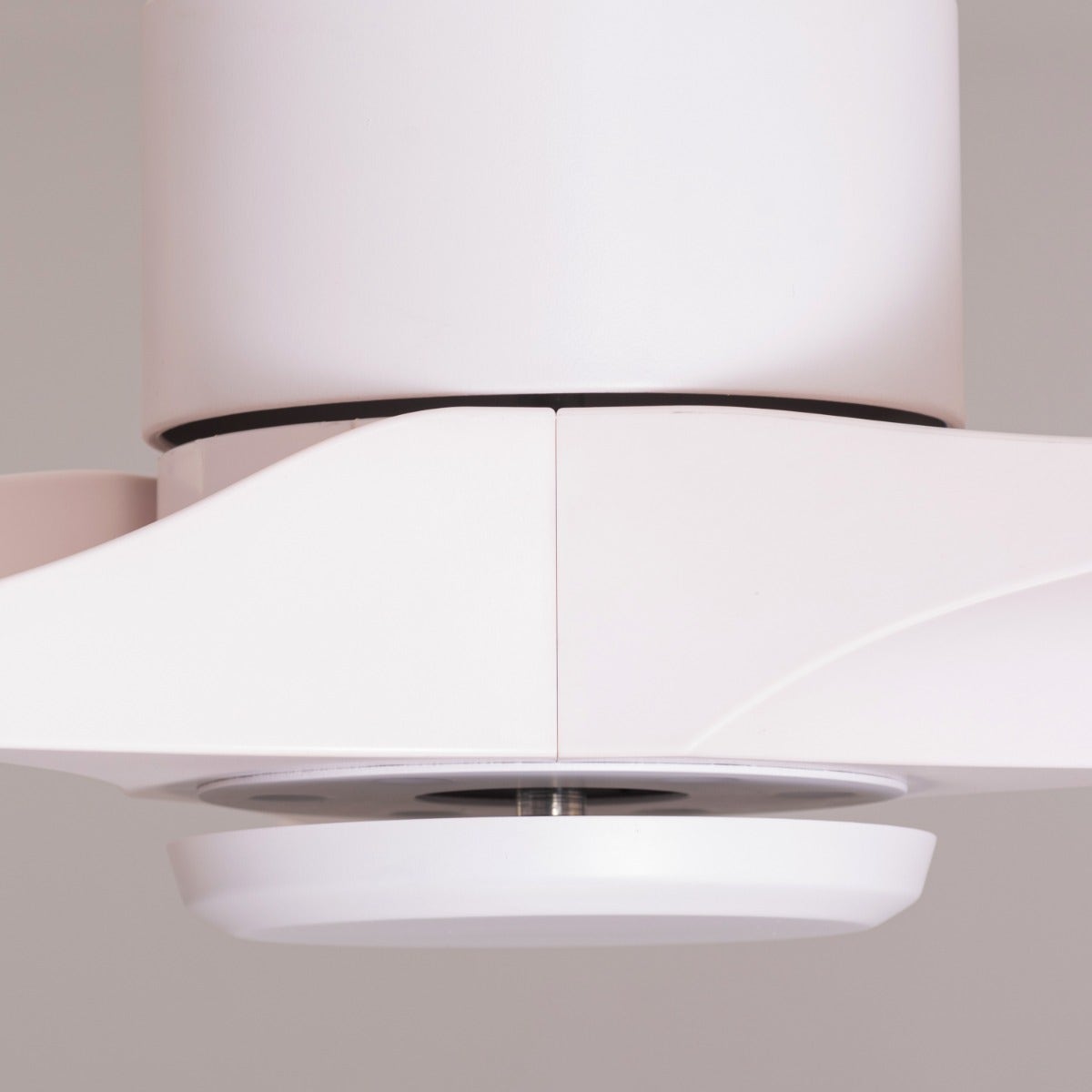 Tiburon (132 cm Span, White Finish Metal Body, White Finish ABS Blades) Ceiling Fan