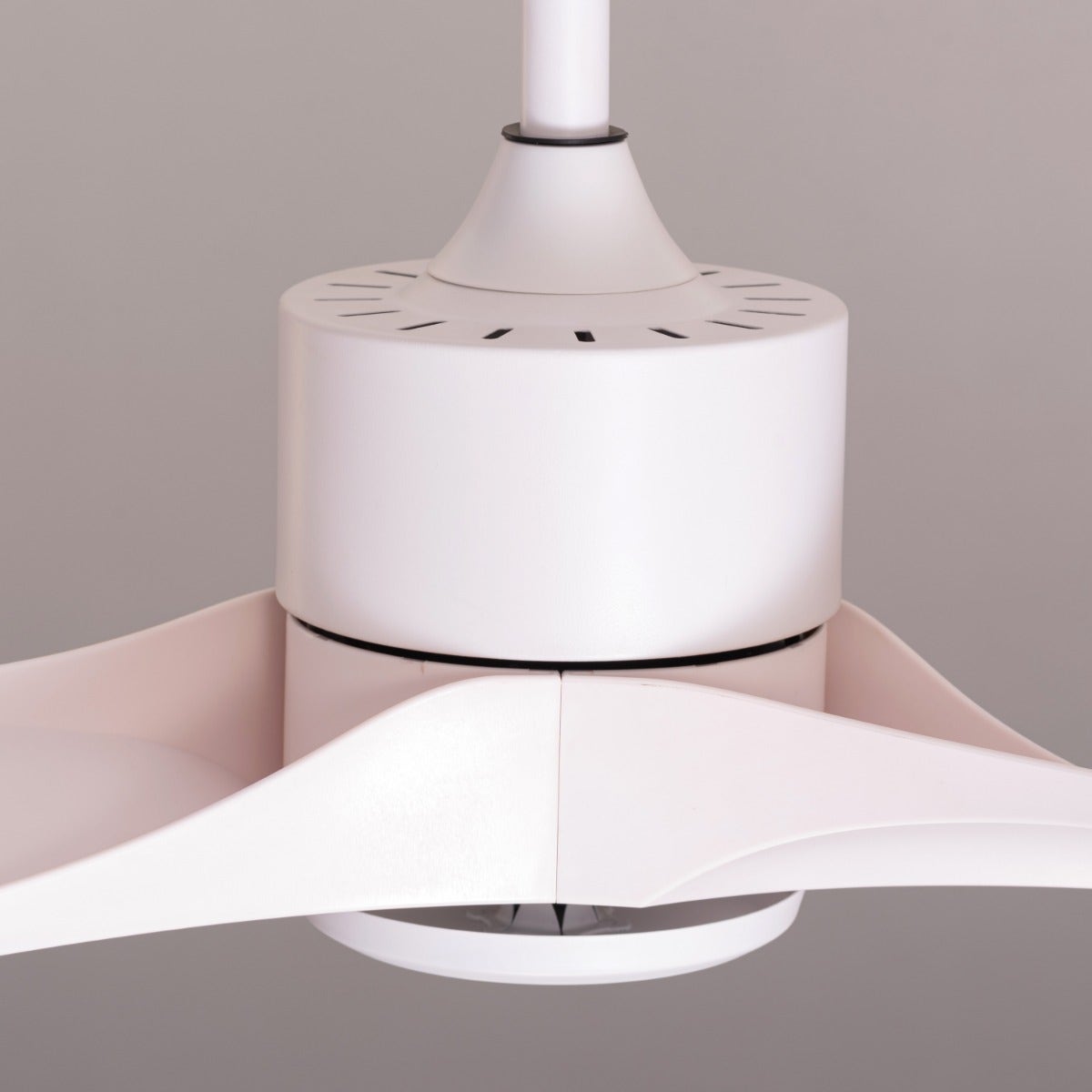 Tiburon (132 cm Span, White Finish Metal Body, White Finish ABS Blades) Ceiling Fan