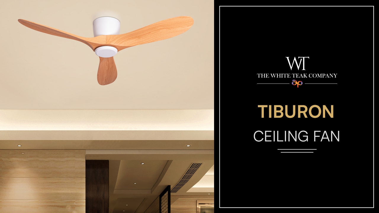 Tiburon (132 cm Span,  White Finish Metal Body, Maple Wood Finish ABS Blades) Ceiling Fan