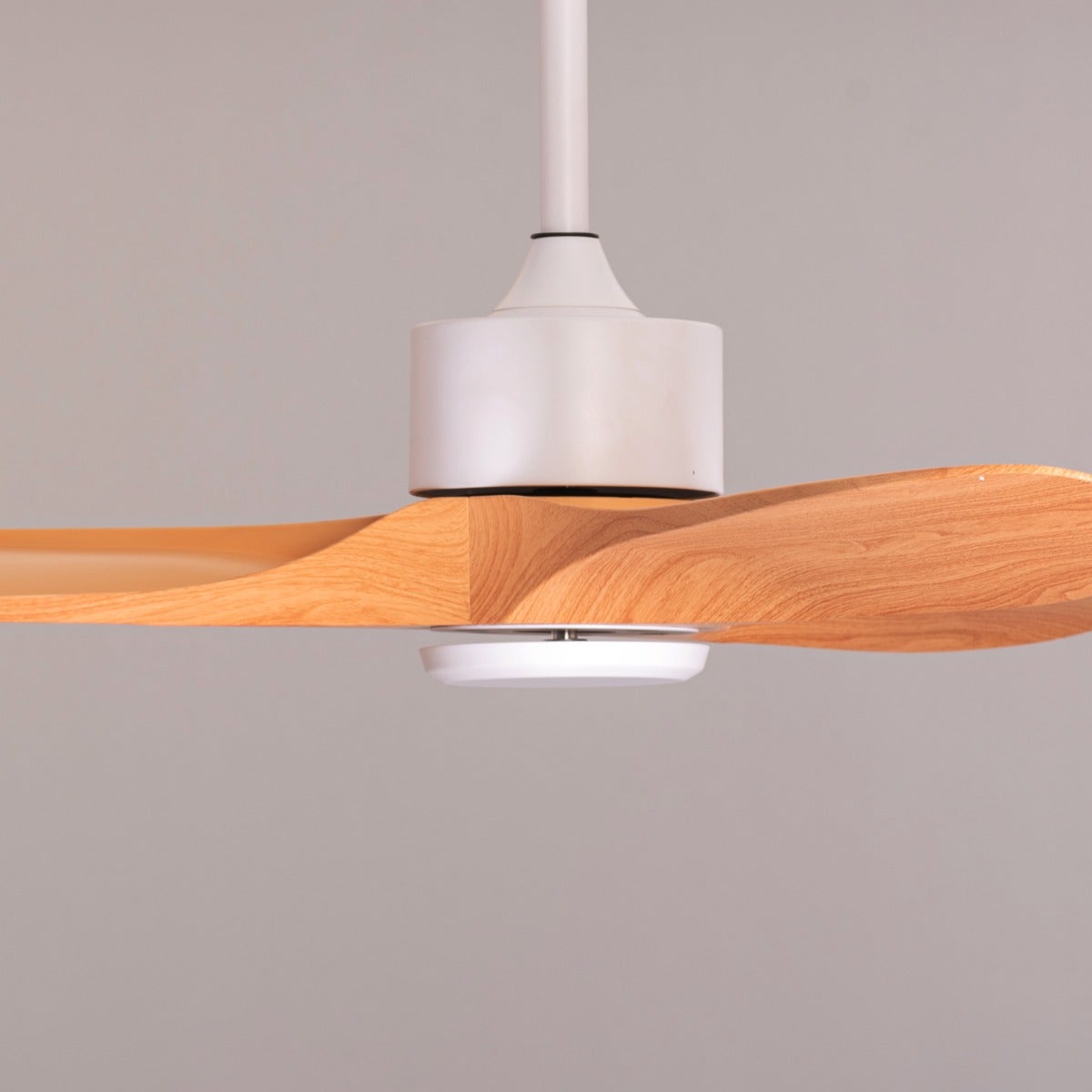 Tiburon (132 cm Span,  White Finish Metal Body, Maple Wood Finish ABS Blades) Ceiling Fan