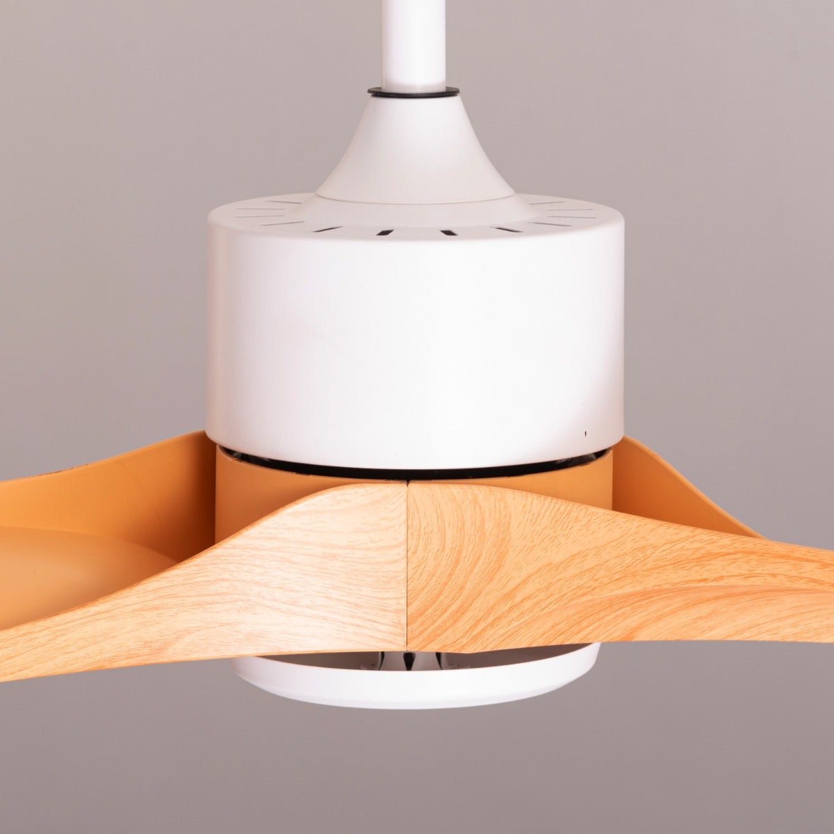 Tiburon (132 cm Span,  White Finish Metal Body, Maple Wood Finish ABS Blades) Ceiling Fan