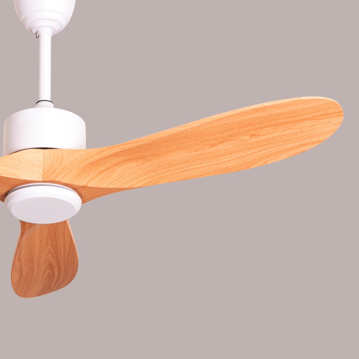 Tiburon (132 cm Span,  White Finish Metal Body, Maple Wood Finish ABS Blades) Ceiling Fan