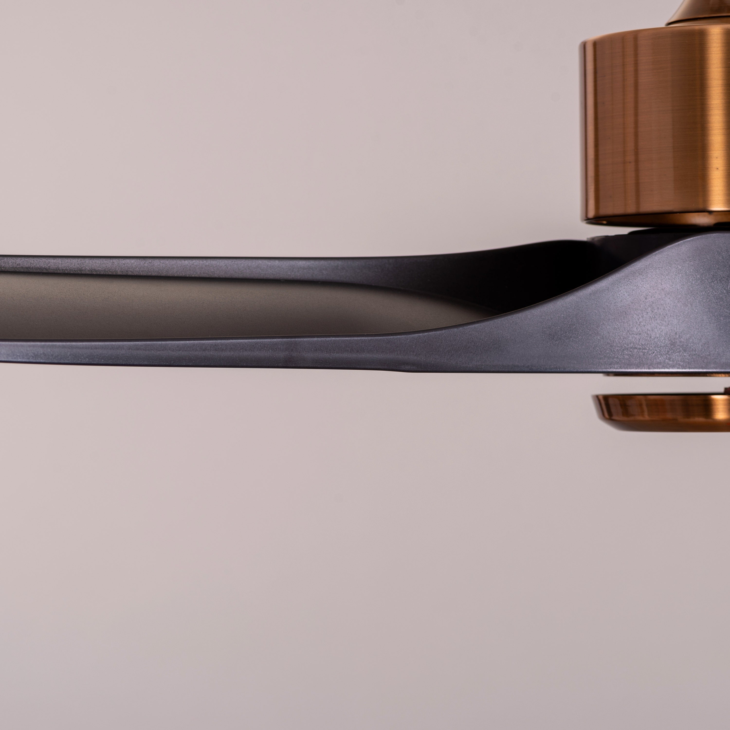 Tiburon (132 cm Span, Matte Gold Finish Metal Body, Black Finish ABS Blades) Ceiling Fan