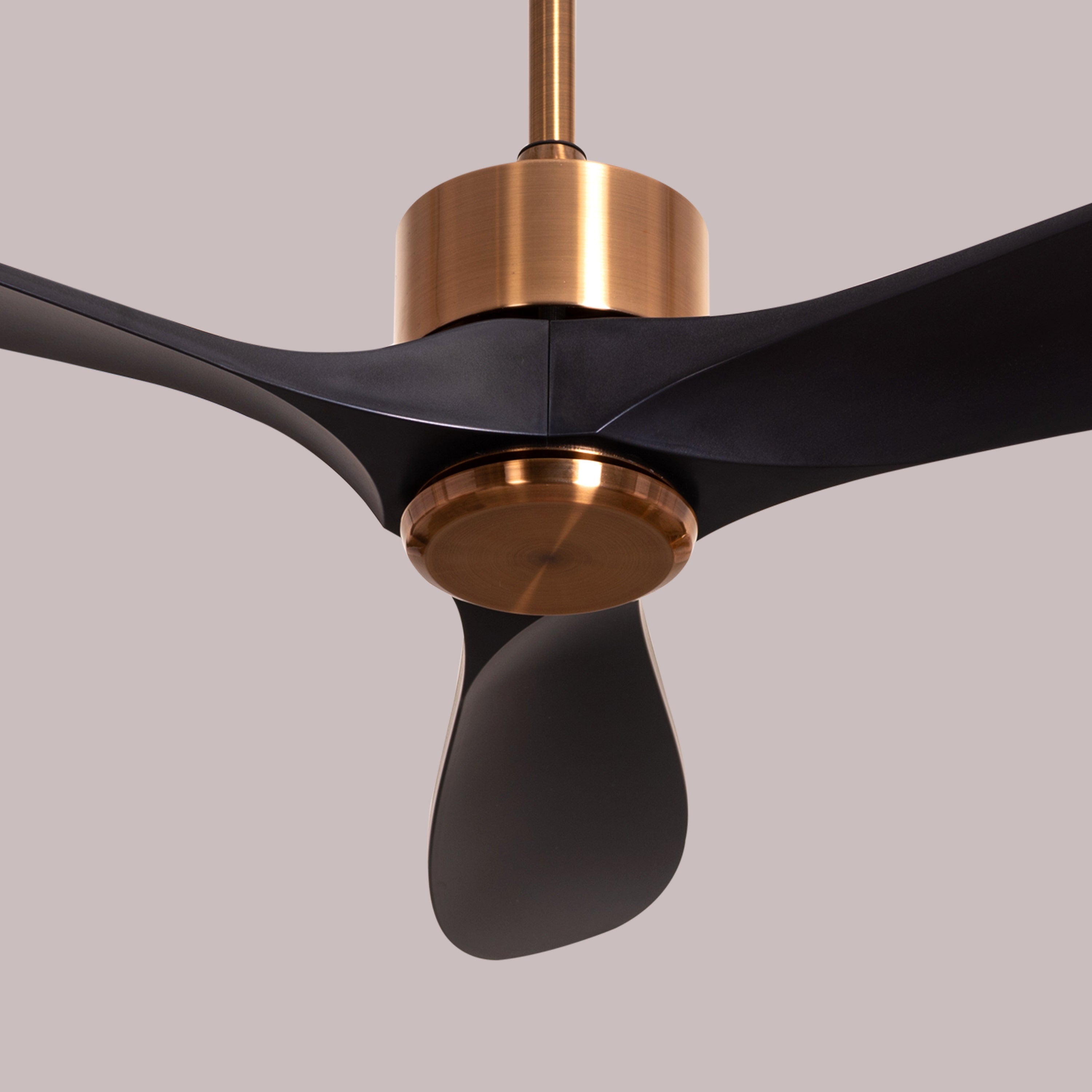 Tiburon (132 cm Span, Matte Gold Finish Metal Body, Black Finish ABS Blades) Ceiling Fan