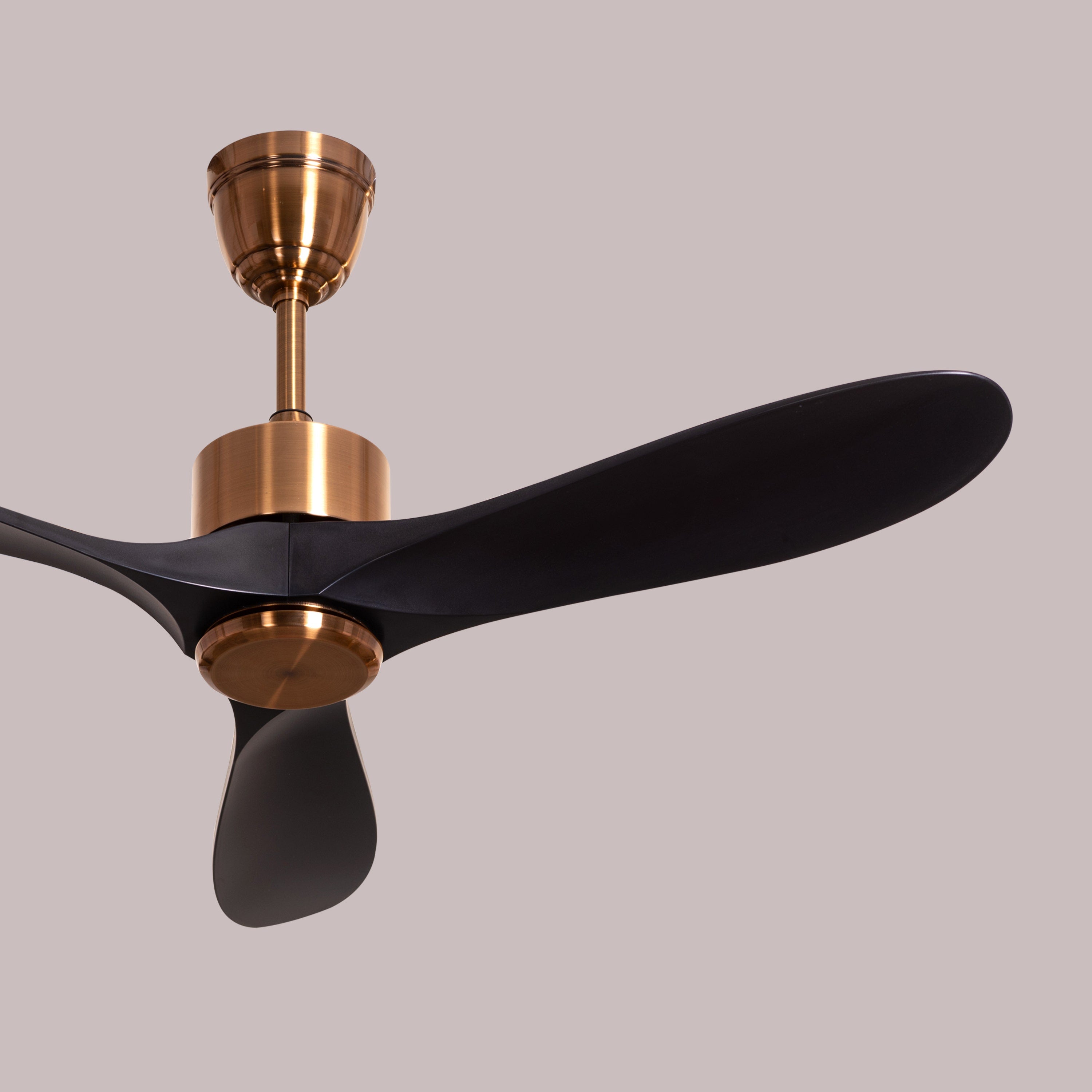 Tiburon (132 cm Span, Matte Gold Finish Metal Body, Black Finish ABS Blades) Ceiling Fan