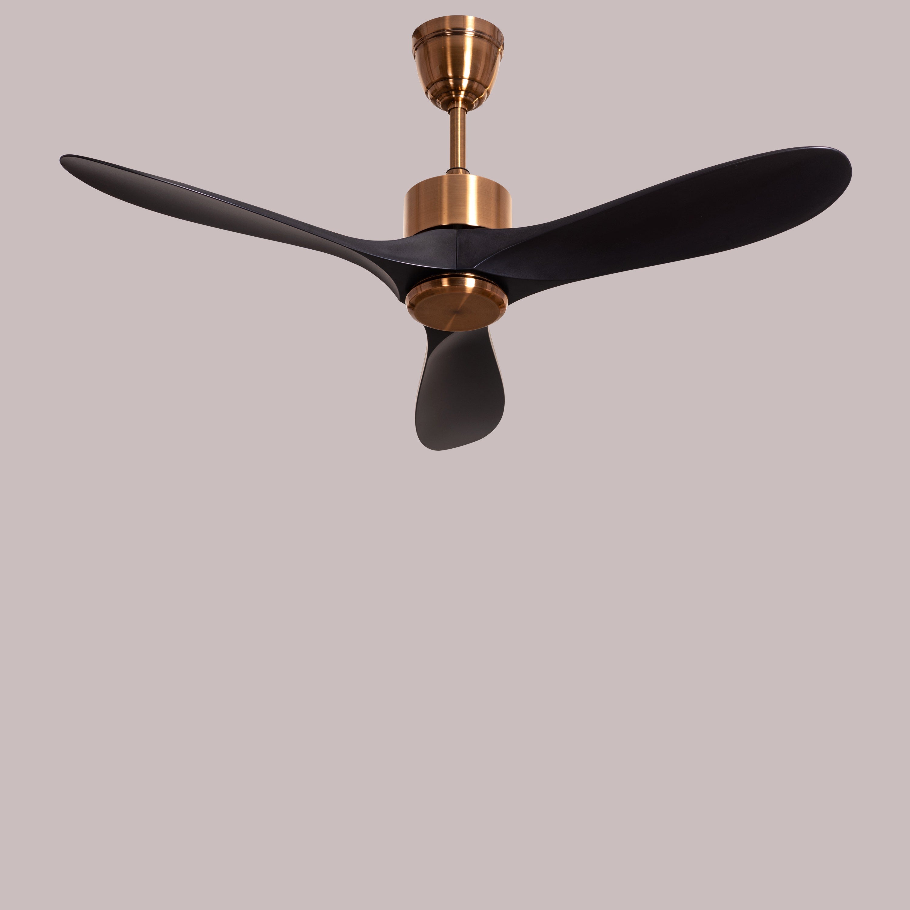 Tiburon (132 cm Span, Matte Gold Finish Metal Body, Black Finish ABS Blades) Ceiling Fan