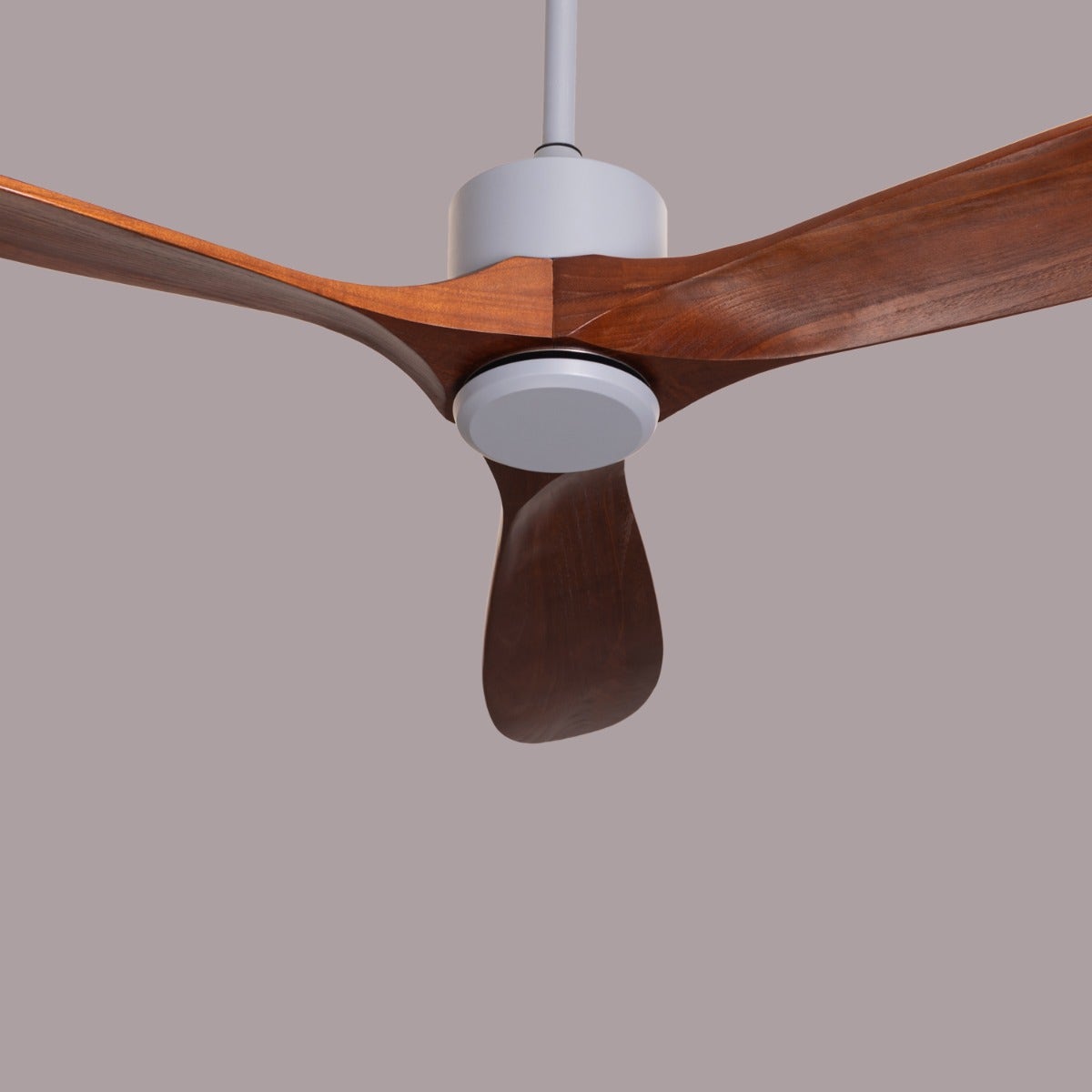 Tiburon (132 cm Span, Grey Finish Metal Body, Teakwood Finish Wooden Blades) Ceiling Fan