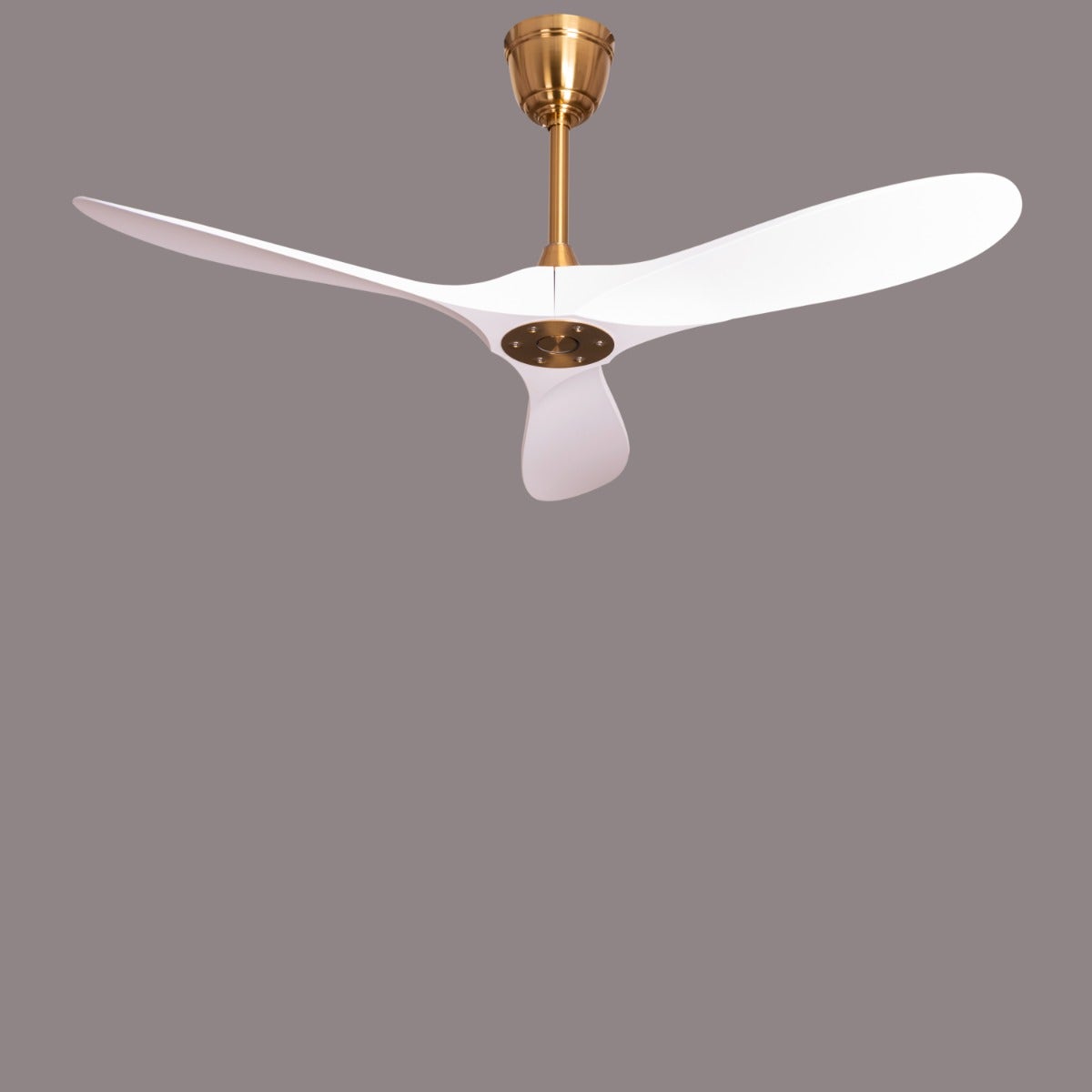 Spin Me Around (132 cm Span, Gold Finish Metal Body, White ABS Blades) Ceiling Fan
