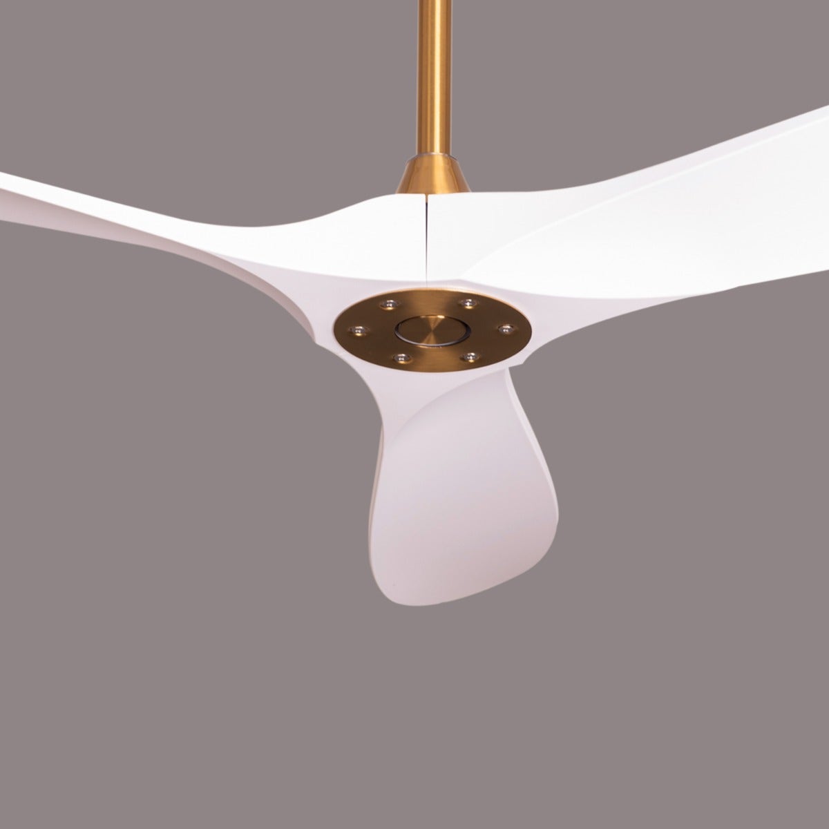 Spin Me Around (132 cm Span, Gold Finish Metal Body, White ABS Blades) Ceiling Fan