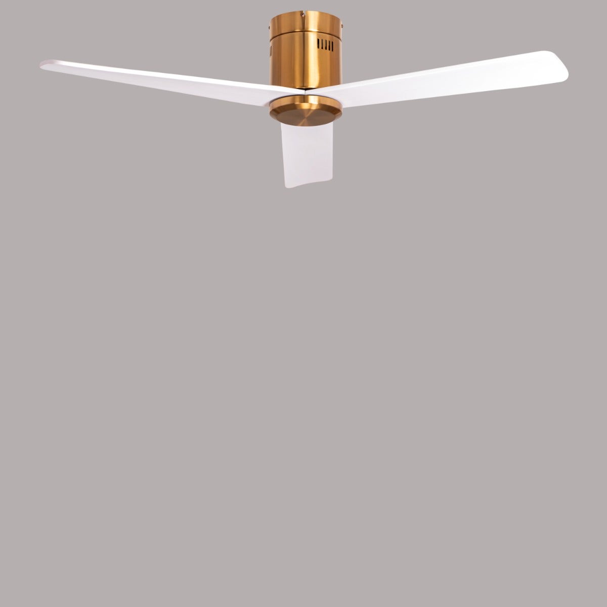 Monterey Bay (132 cm Span, Gold Finish Metal Body, White Finish Wooden Blades) Ceiling Fan