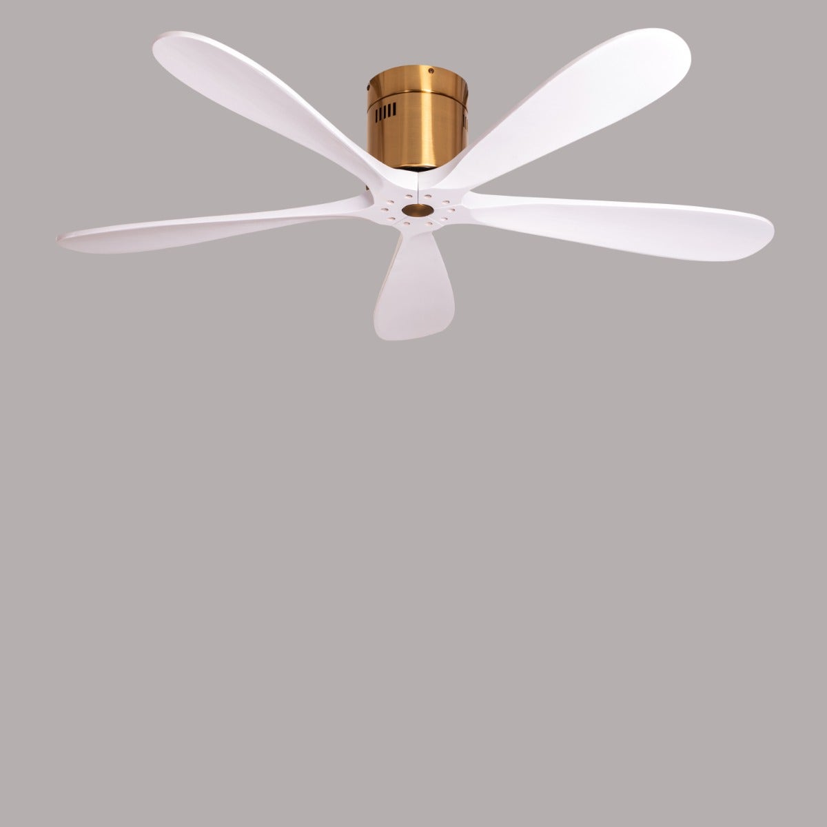 Carmel (132 cm Span, Gold Finish Metal Body, White Finish Wooden Blades) Ceiling Fan
