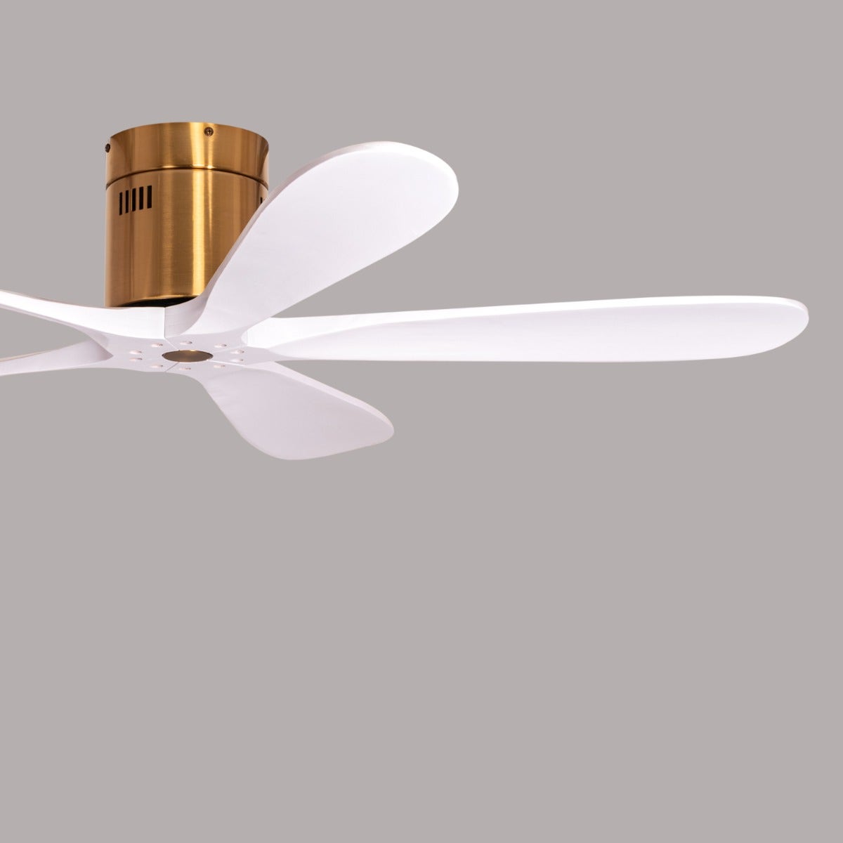 Carmel (132 cm Span, Gold Finish Metal Body, White Finish Wooden Blades) Ceiling Fan