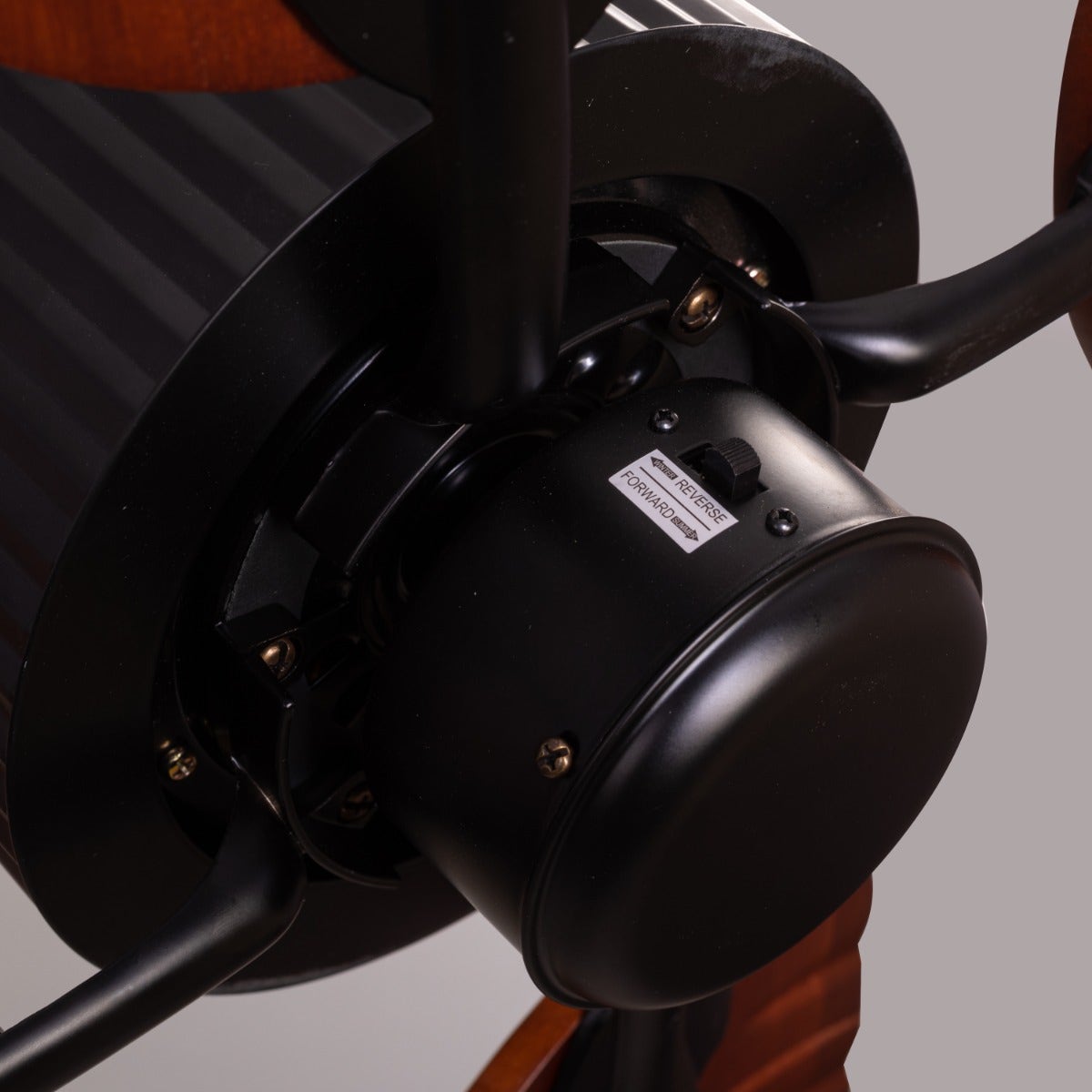 Ruby Hills (130 cm Span, Black Finish Metal Body, Walnut Finish ABS Blades) Ceiling Fan