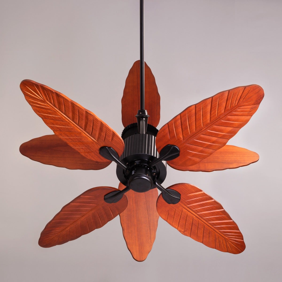 Ruby Hills (130 cm Span, Black Finish Metal Body, Walnut Finish ABS Blades) Ceiling Fan