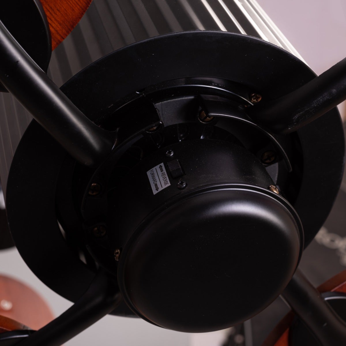 Ruby Hills (130 cm Span, Black Finish Metal Body, Walnut Finish ABS Blades) Ceiling Fan